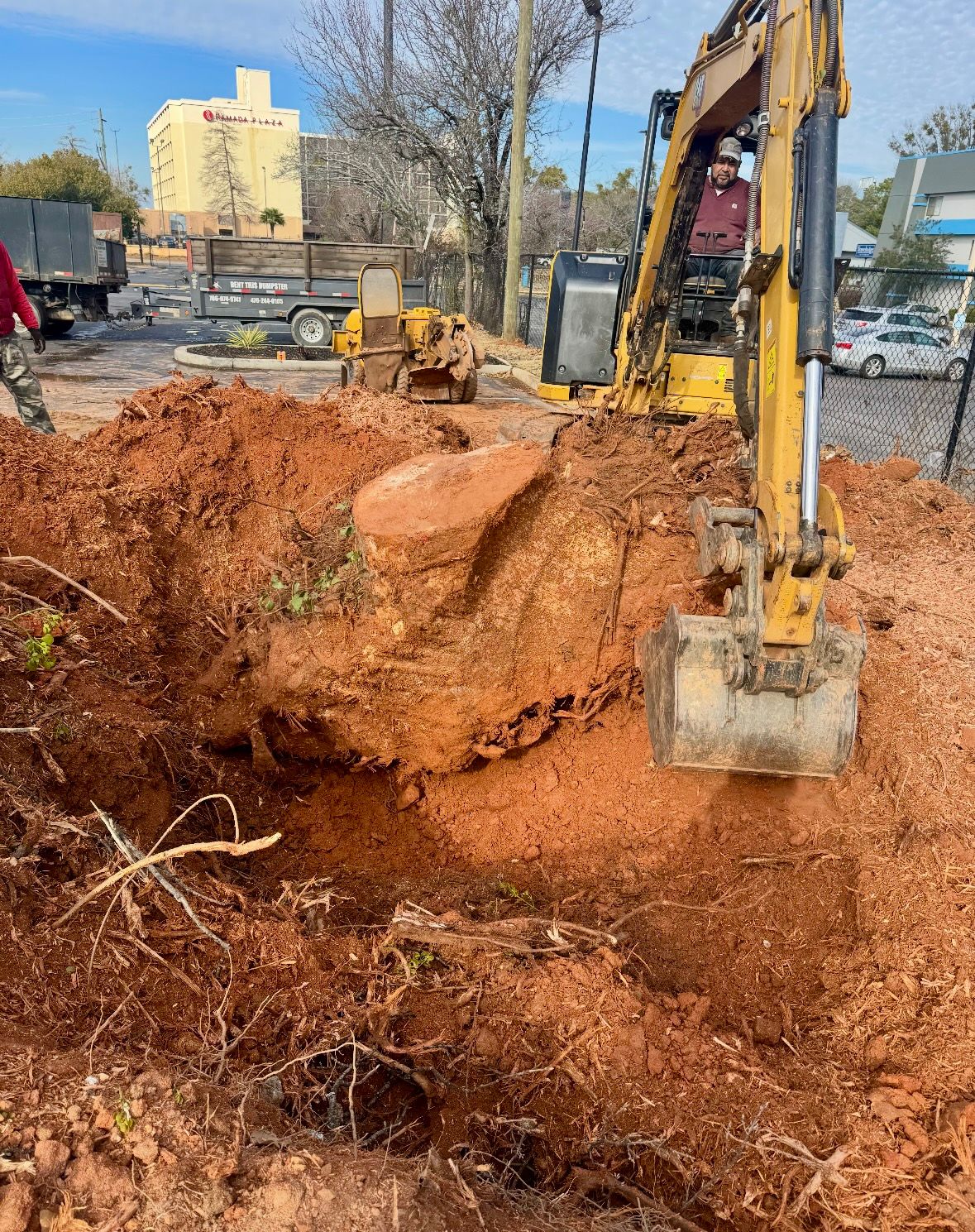  for Clear Tree Land Solutions in Dawson County, GA
