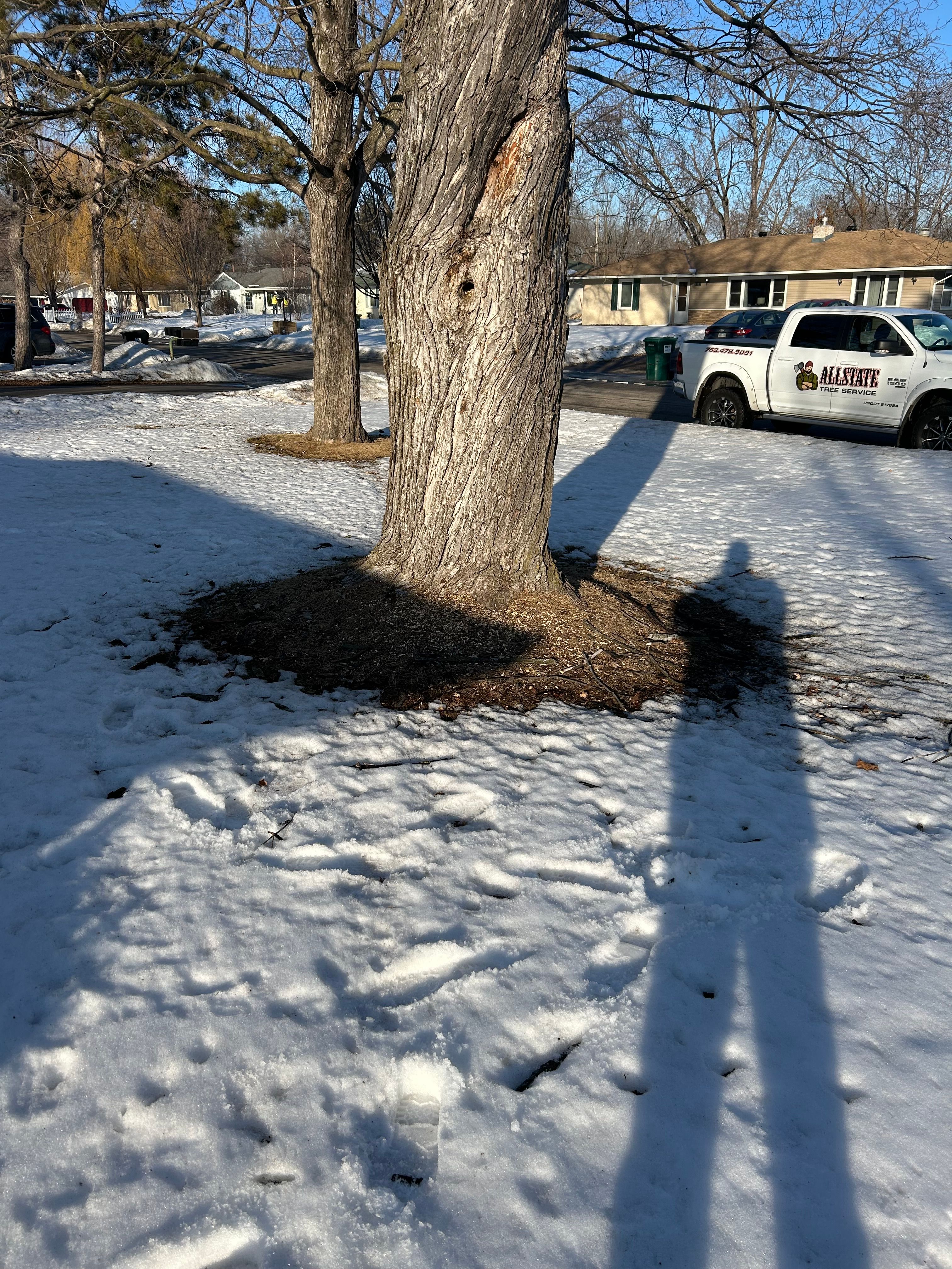 All Photos for Allstate Tree Service and Crane in Spring Lake Park, MN