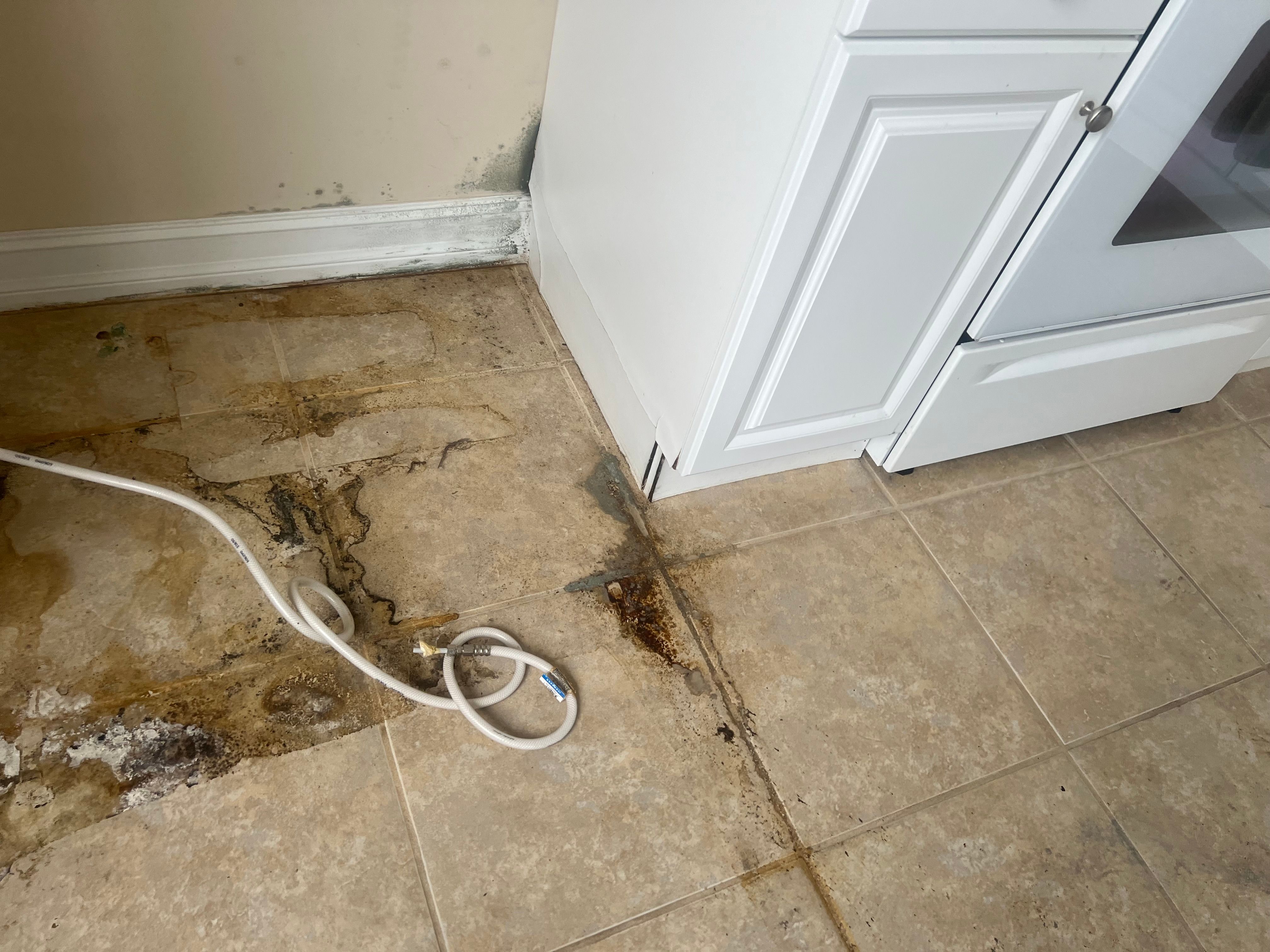  for N&D Restoration Services When Disaster Strikes, We Come In in Cape Coral,  FL