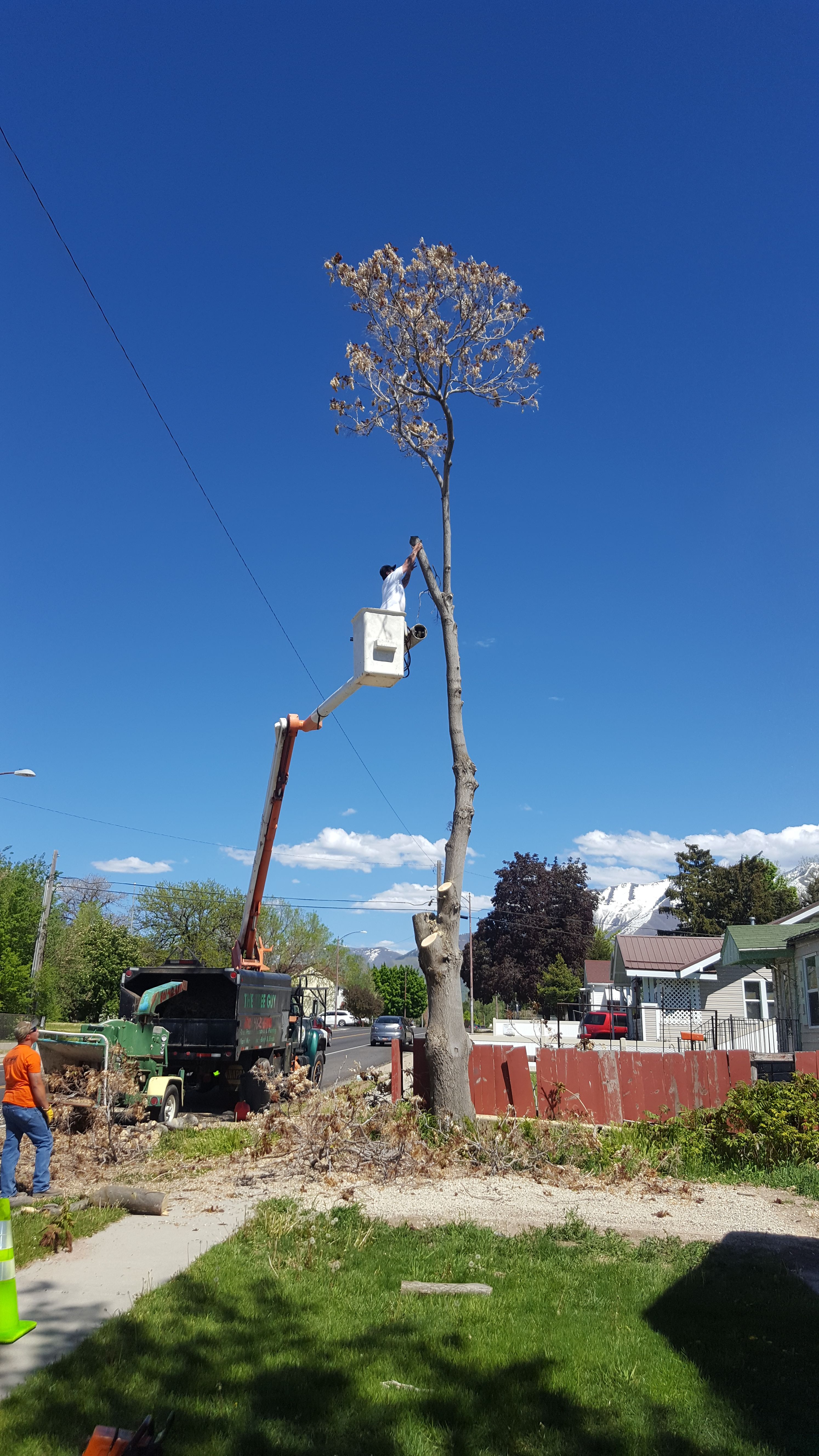 for Platinum Lawn Service in Santaquin, UT