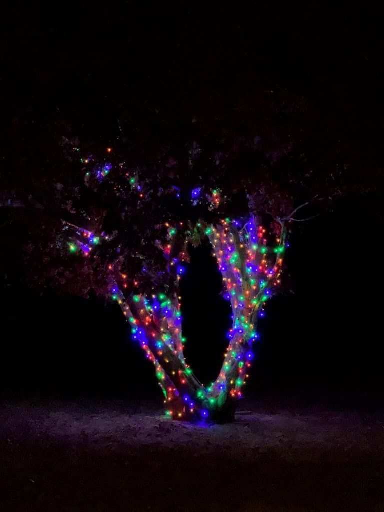  for Happy Holiday Christmas Lighting in Mullica Hill, NJ