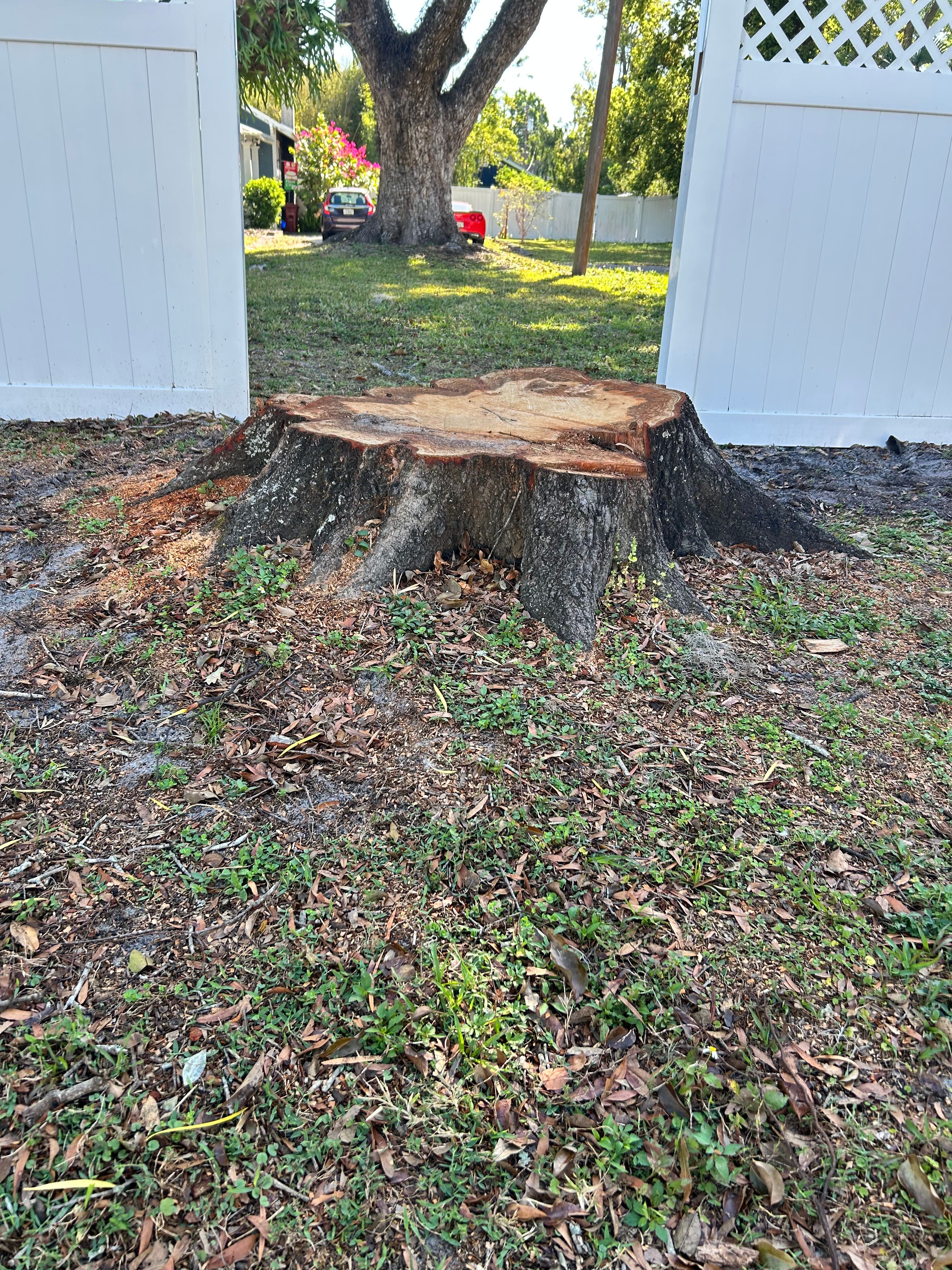  for Greene Acres Stump Grinding in Plant City, FL