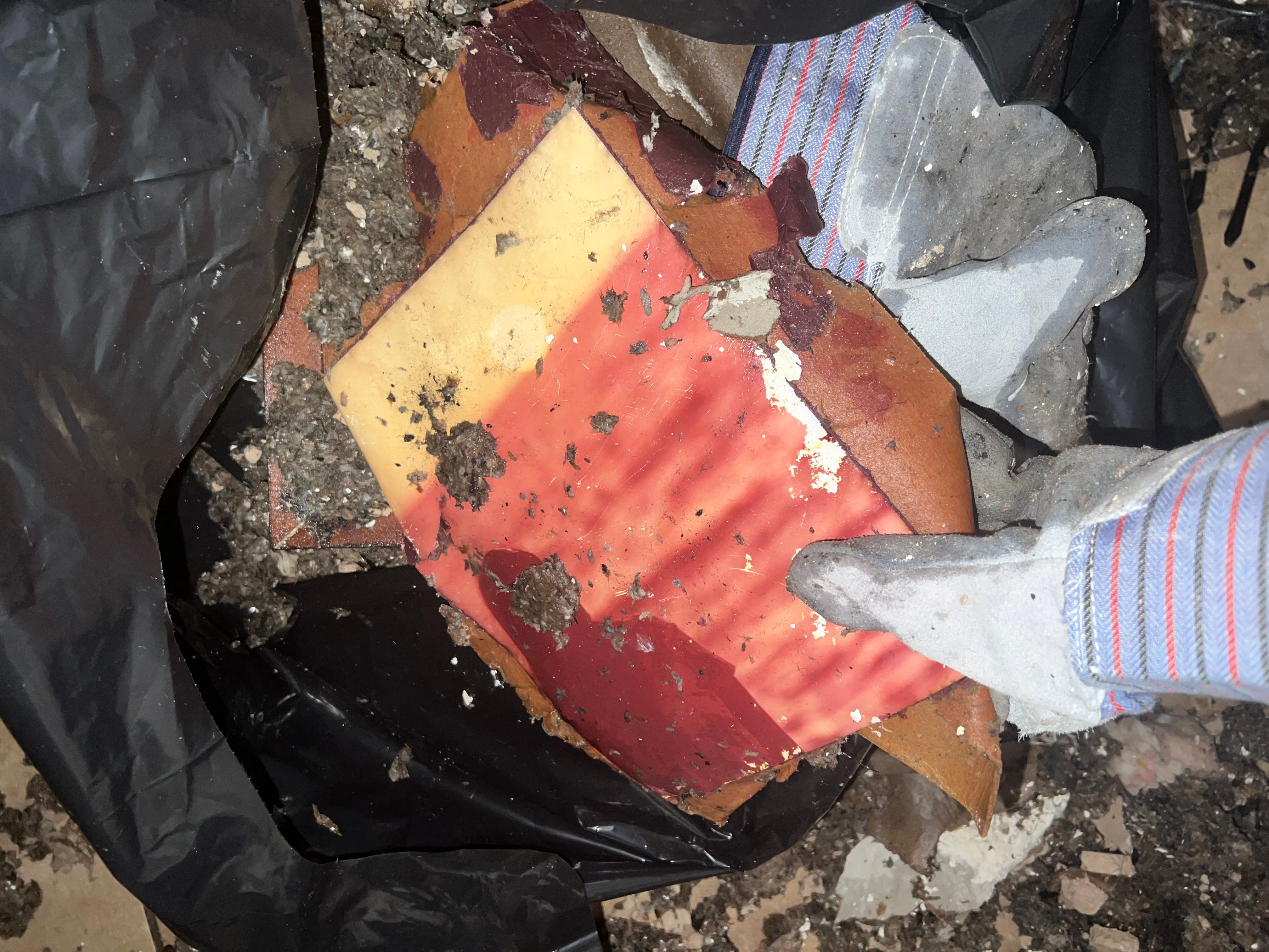  for N&D Restoration Services When Disaster Strikes, We Come In in Cape Coral,  FL