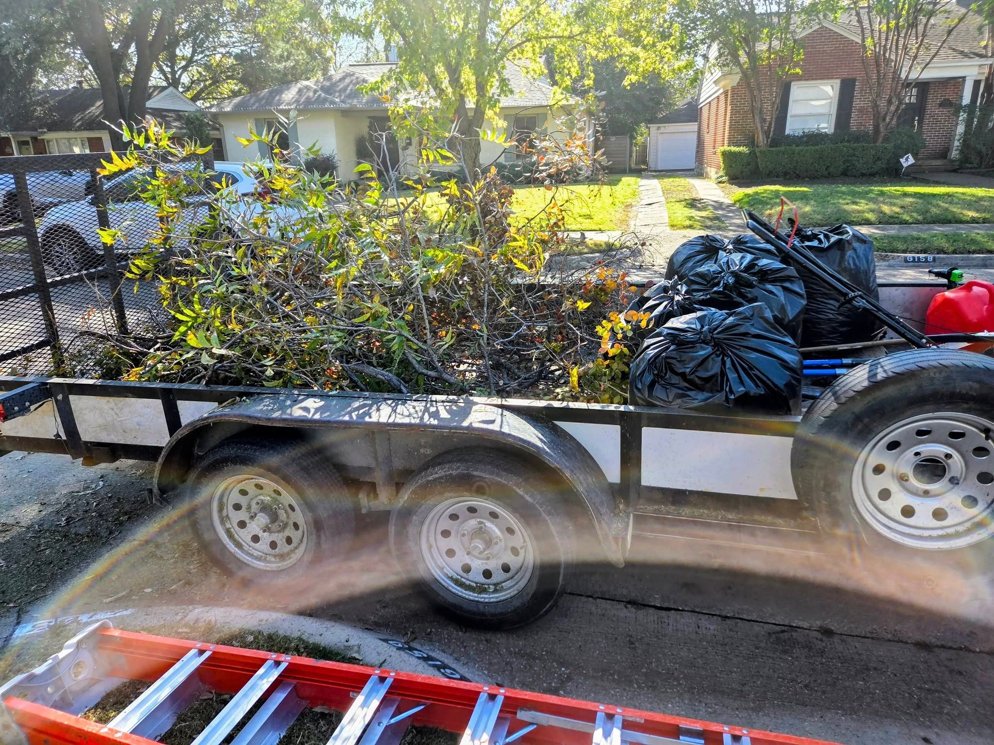  for Lavon Lawn Plus in Lavon, TX