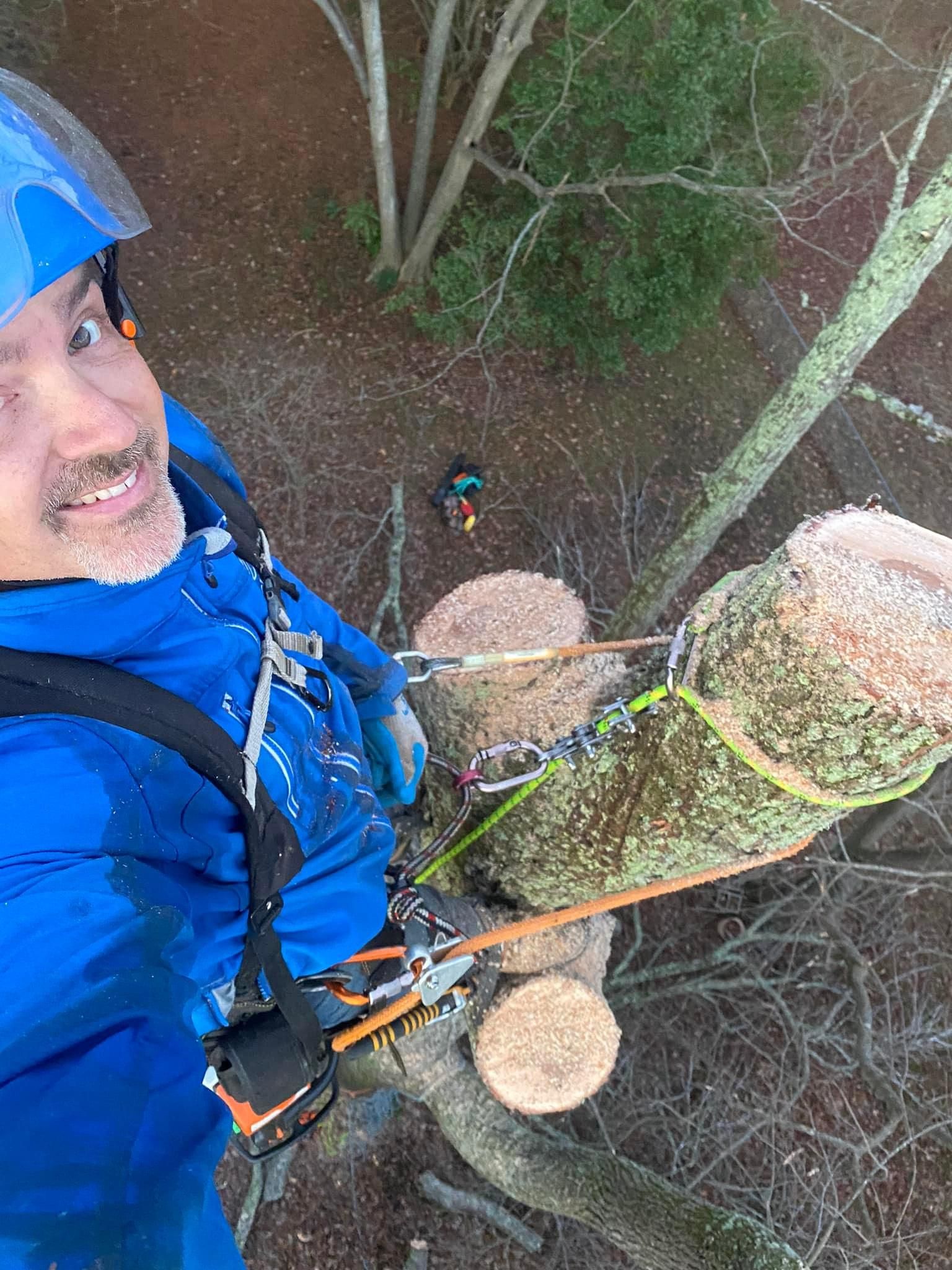  for Ascending Tree Service LLC in Kenbridge, VA