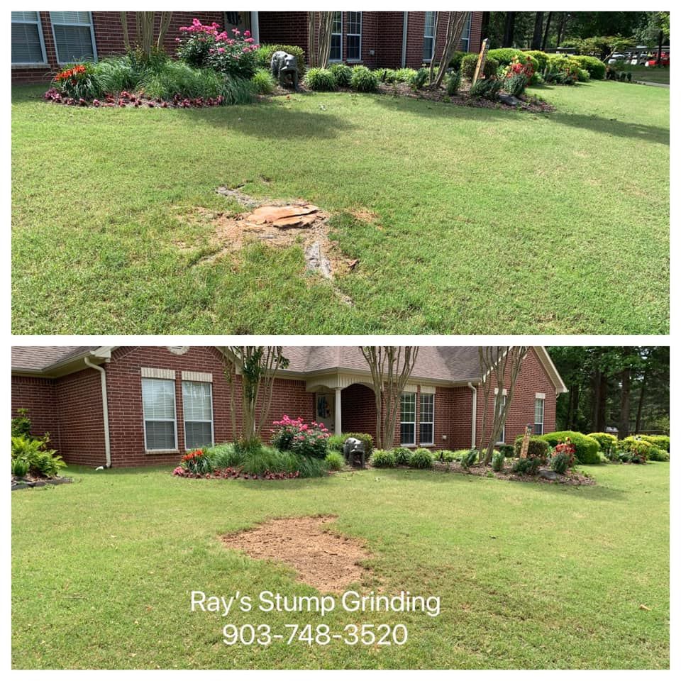  for Ray's Stump Grinding in Texarkana,,  TX