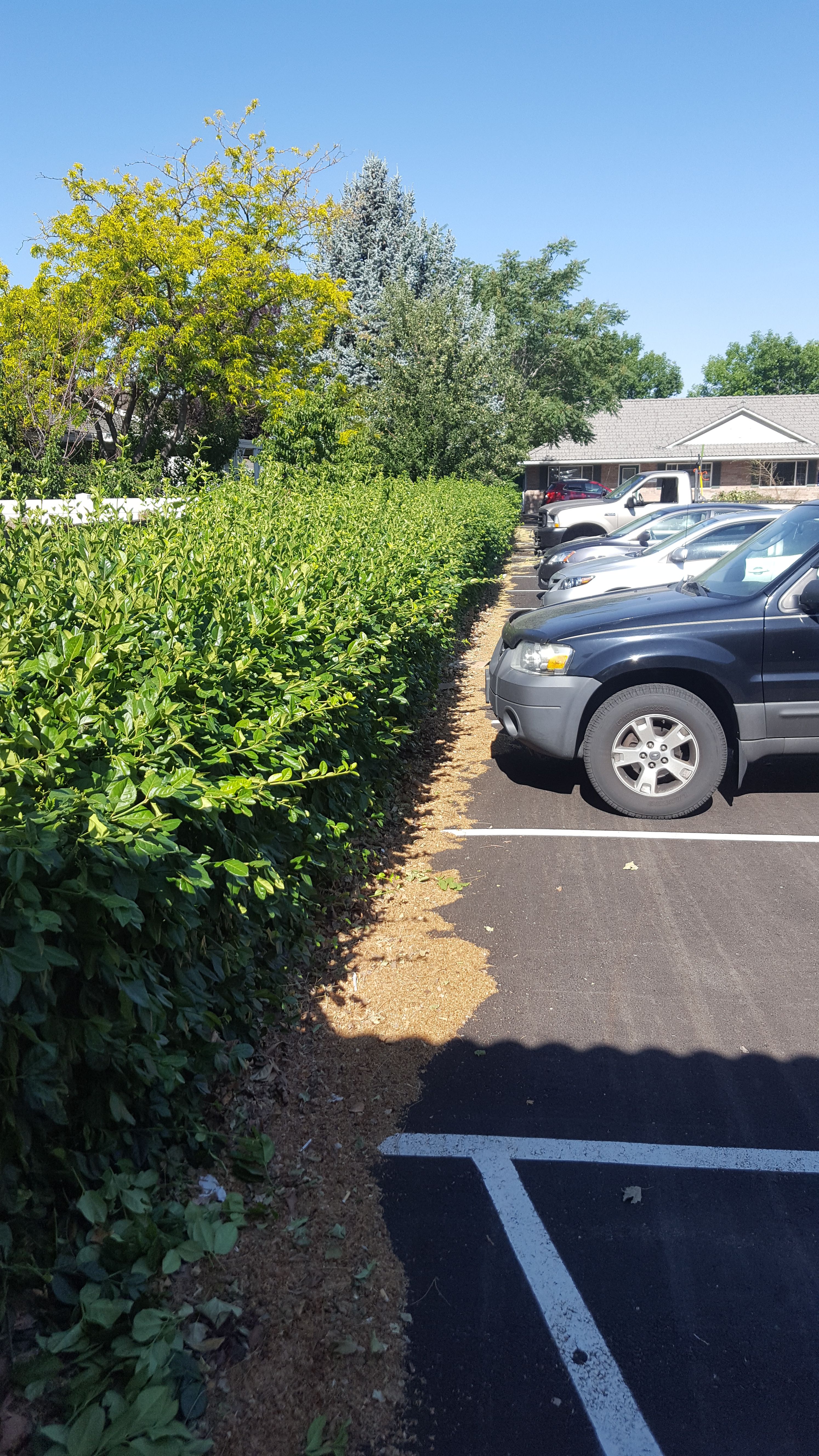  for Platinum Lawn Service in Santaquin, UT