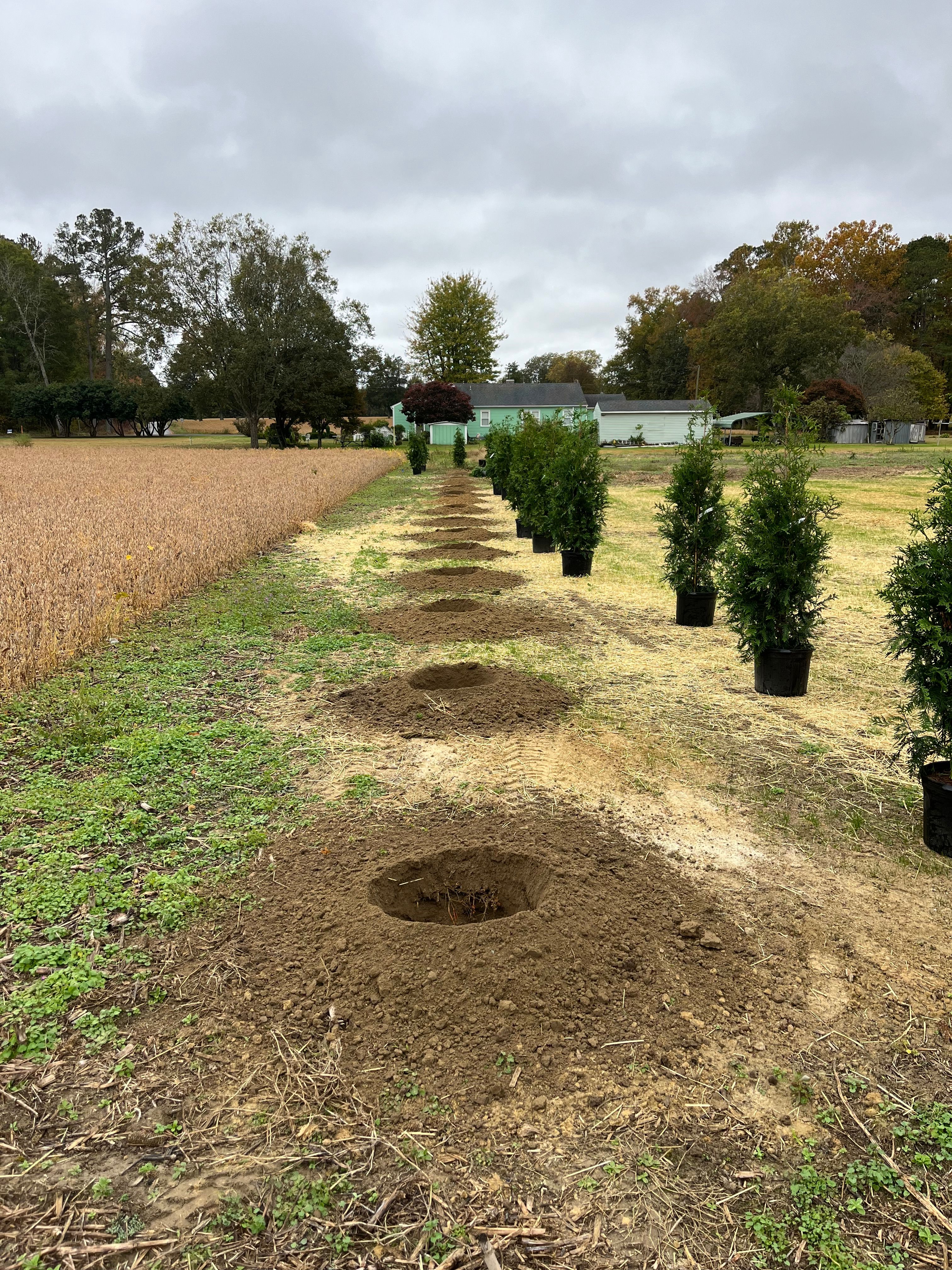  for Atlas Home Services in Mechanicsville, VA