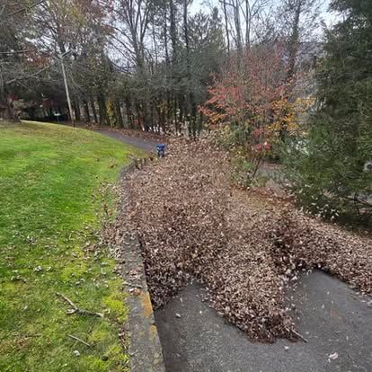  for Lopez Landscaping and Tree Service  in Waynesville, NC