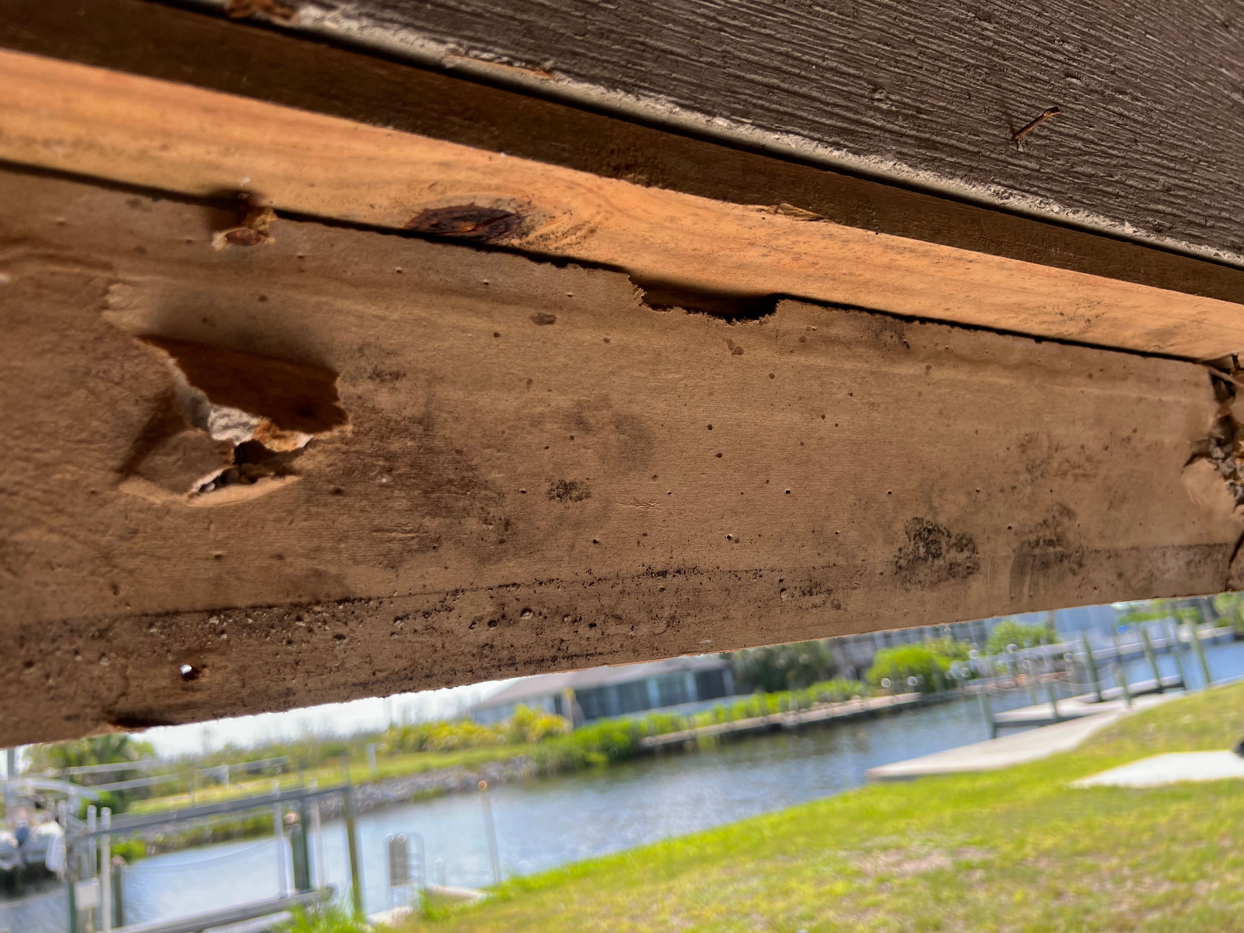  for N&D Restoration Services When Disaster Strikes, We Come In in Cape Coral,  FL