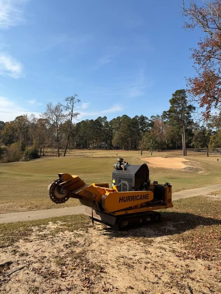  for Dozier Stump Grinding in Augusta, GA
