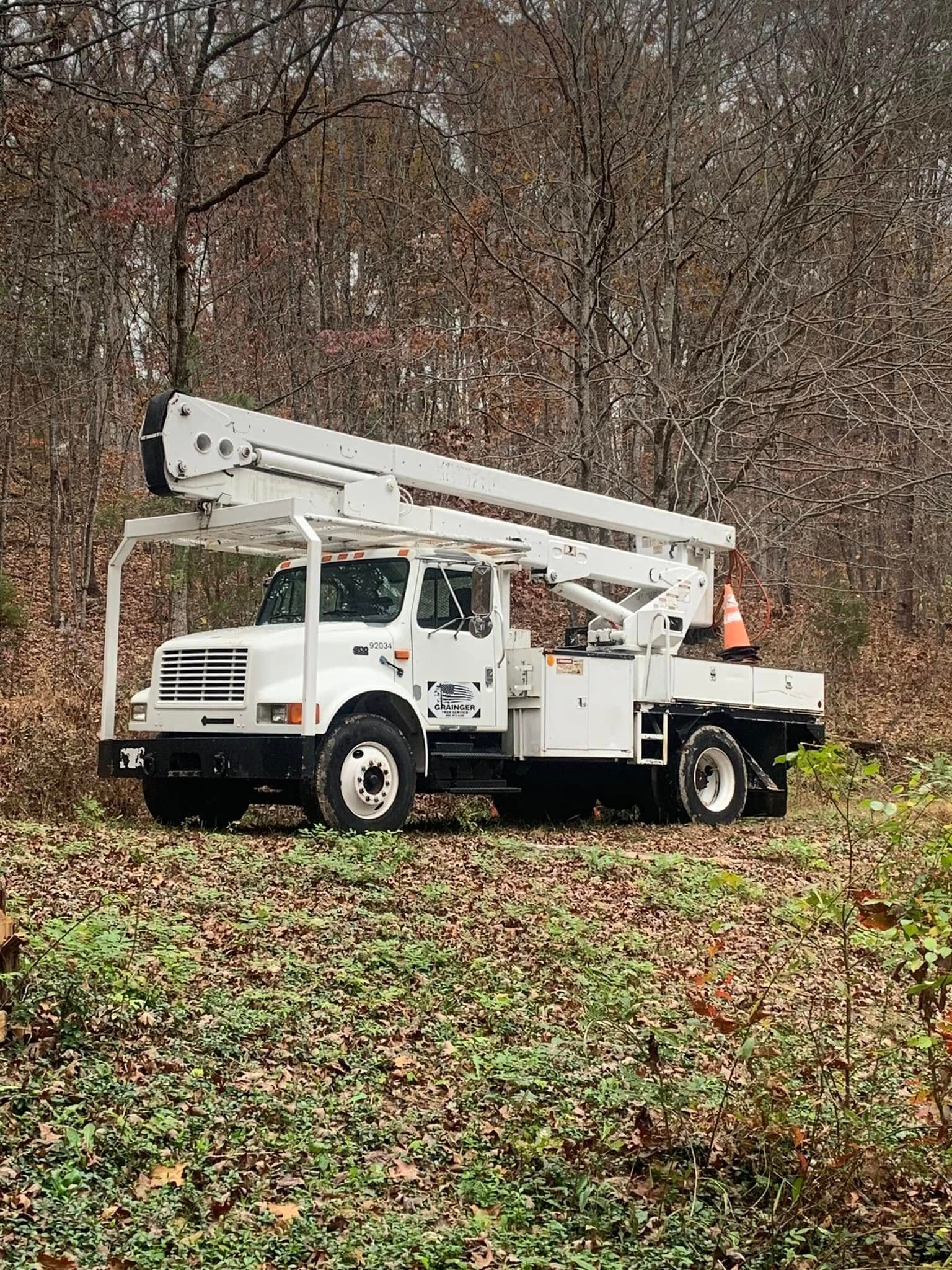  for Grainger Tree Service in Blaine, TN