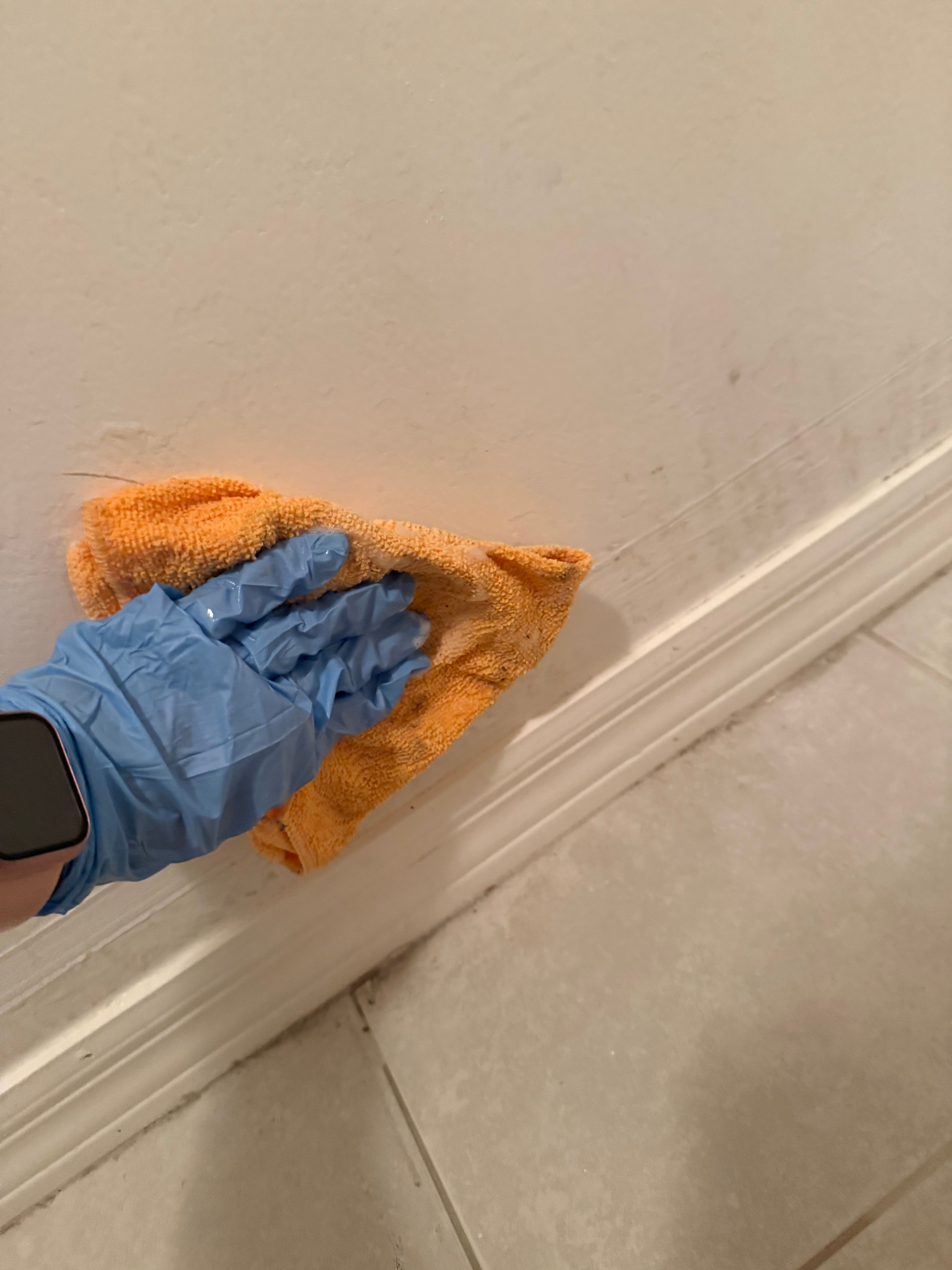  for N&D Restoration Services When Disaster Strikes, We Come In in Cape Coral,  FL