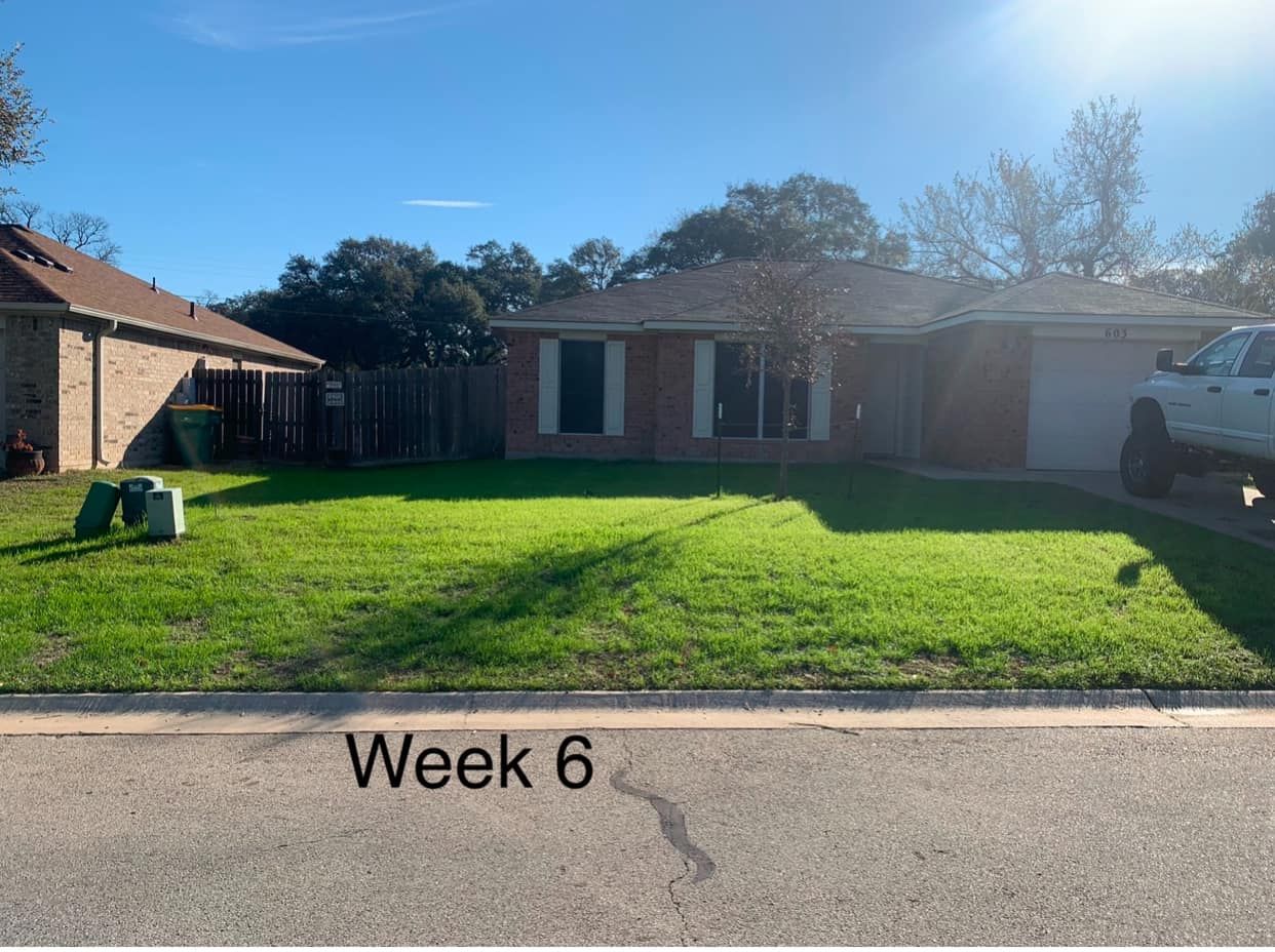  for Scalpel Lawn Service in Temple, TX