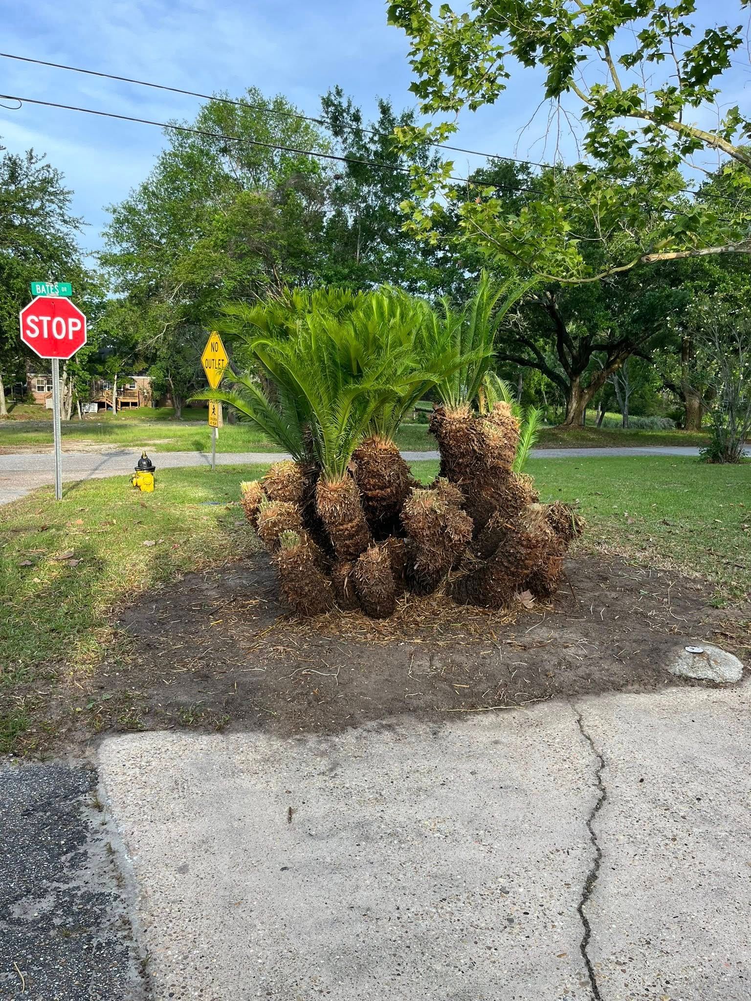  for Landscaping Pros in Hurley, MS