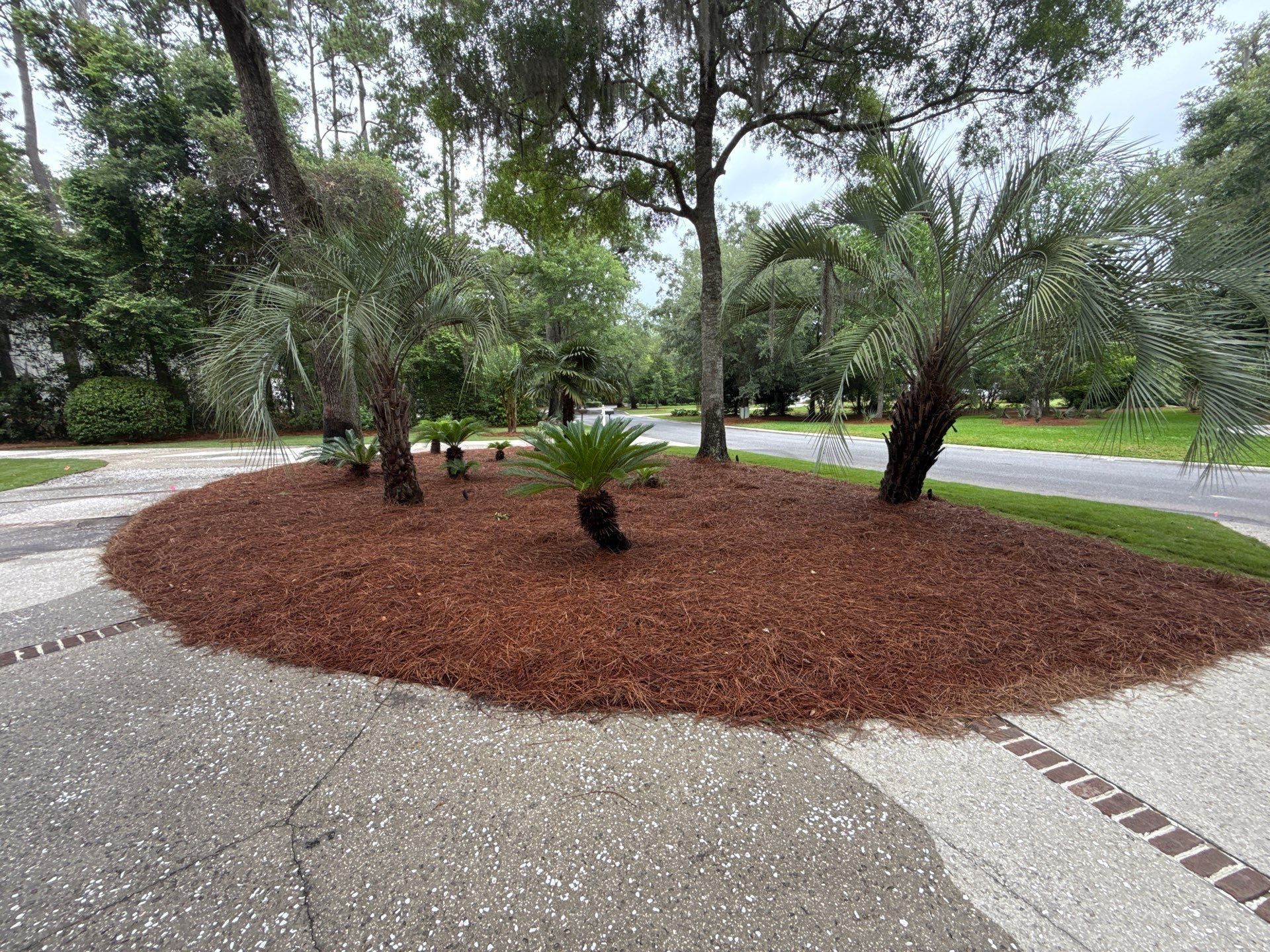  for Pawleys Island Concierge LLC in Pawleys Island, SC