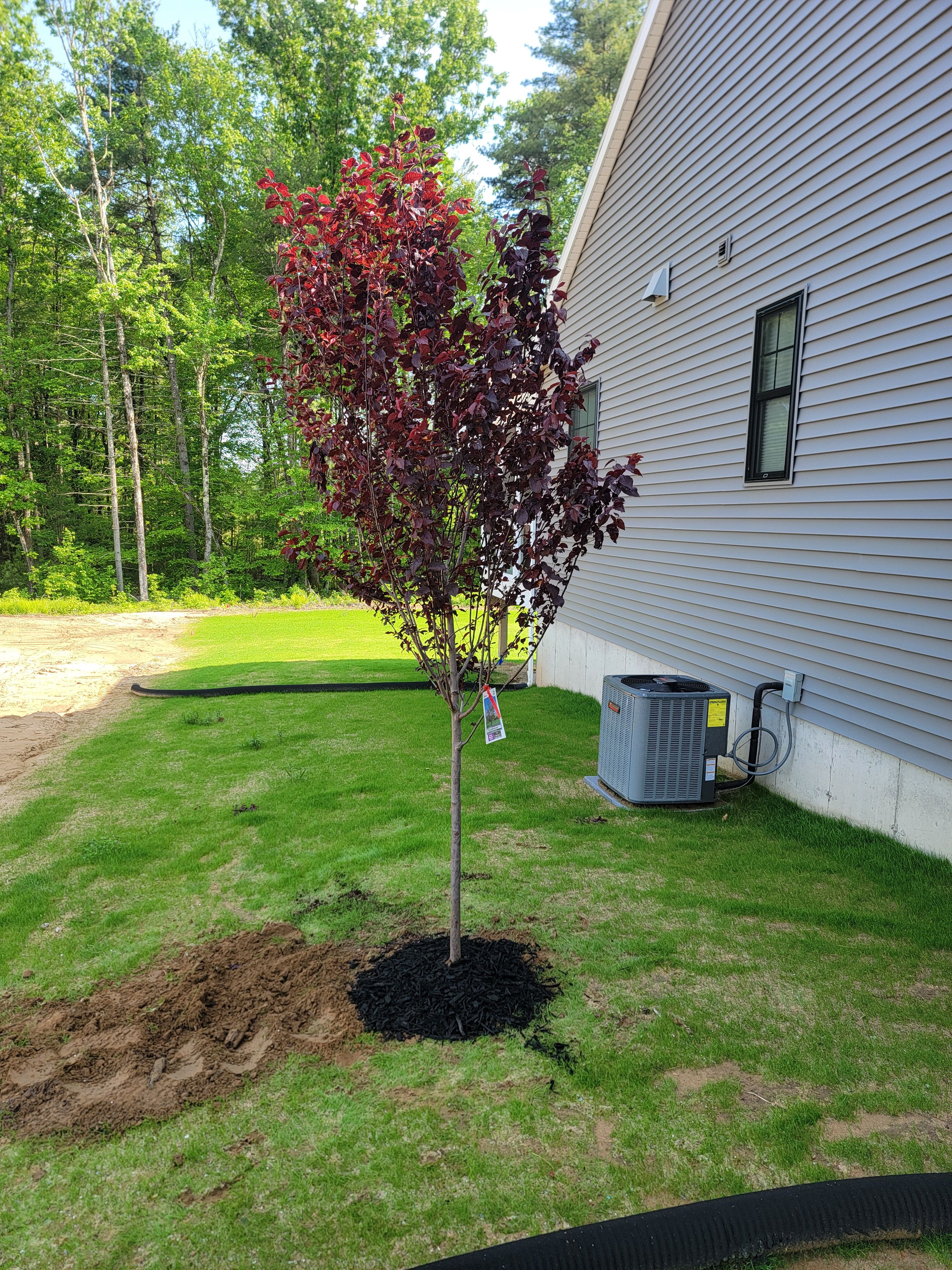  for Sweet Scapes in Ballston Spa, NY