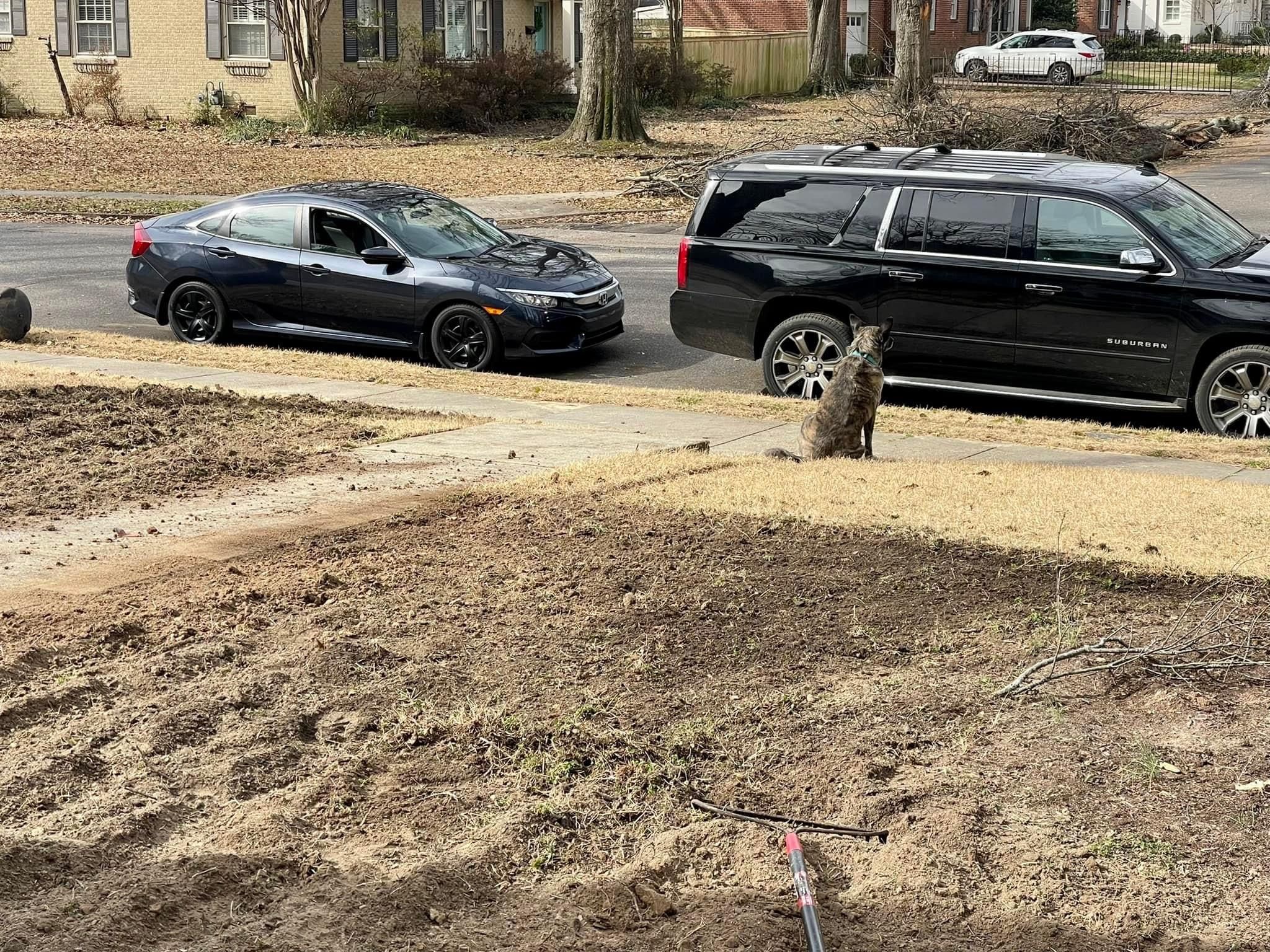 Residential Landscaping for Emory's Garden Landscape Emporium in Memphis,  TN