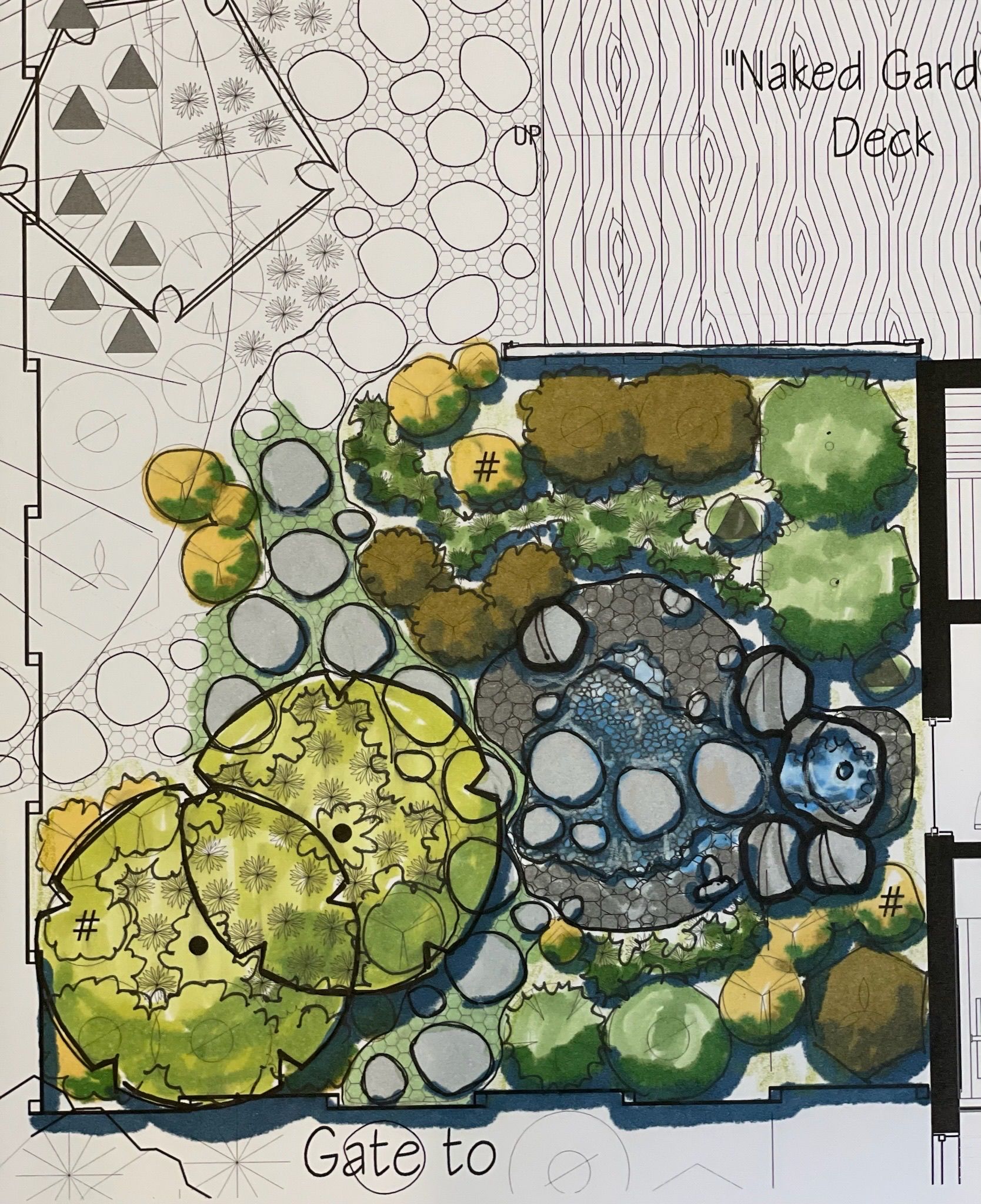  for Courtney Lewis Landscape Design in Portland, OR