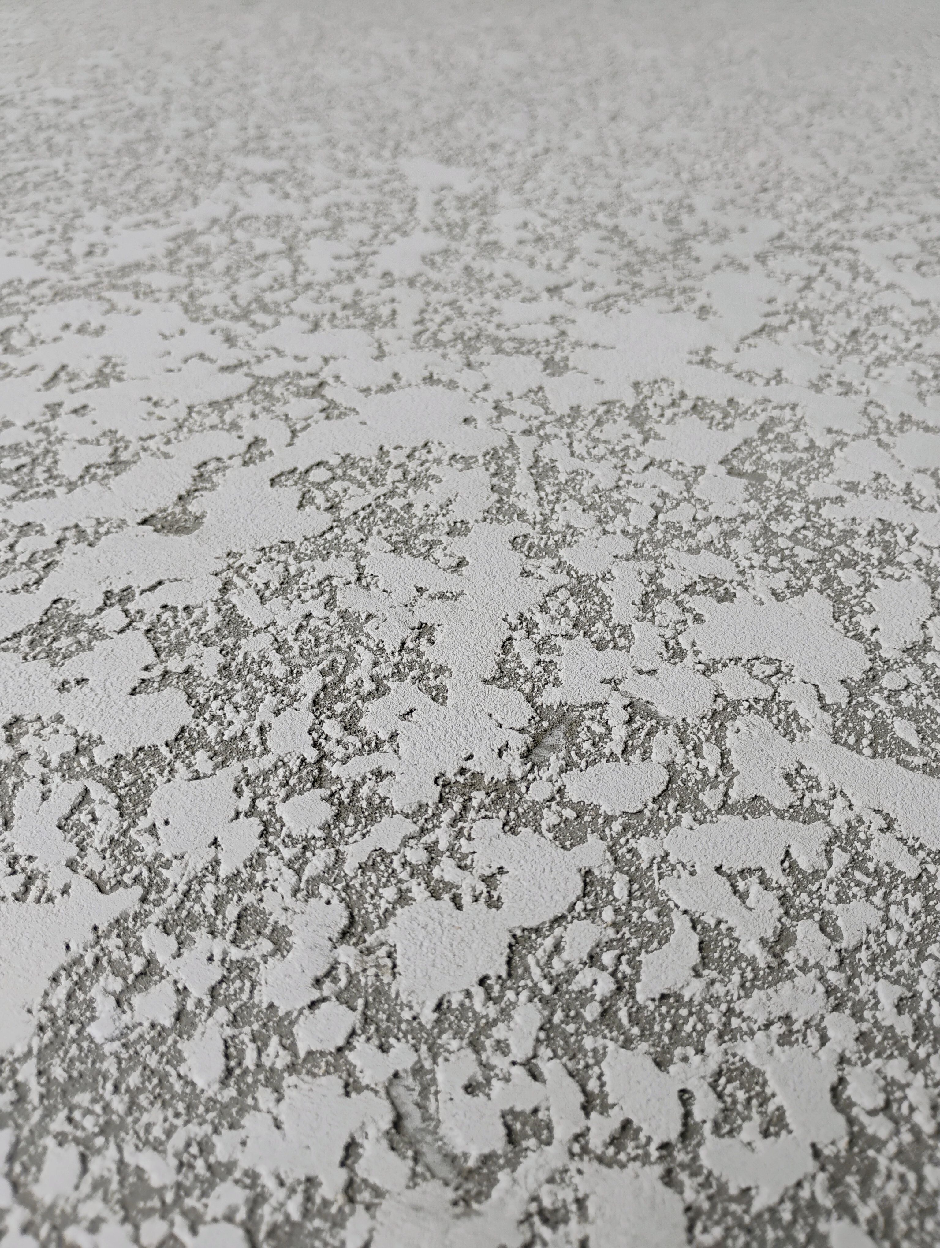  for American Acrylic Concrete Coatings in Longwood, FL