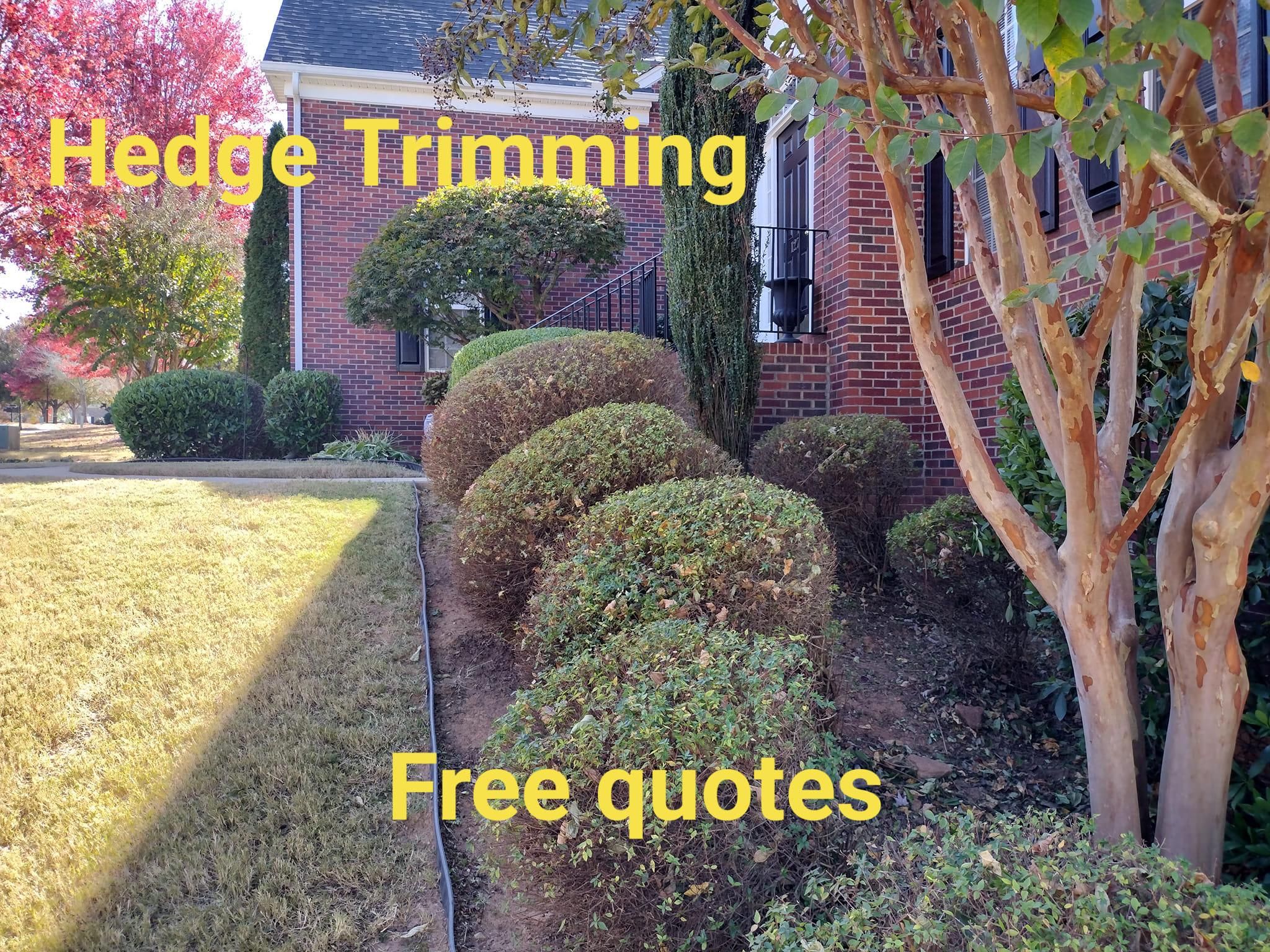  for Palmetto Cuts Lawn Care LLC in Simpsonville, SC