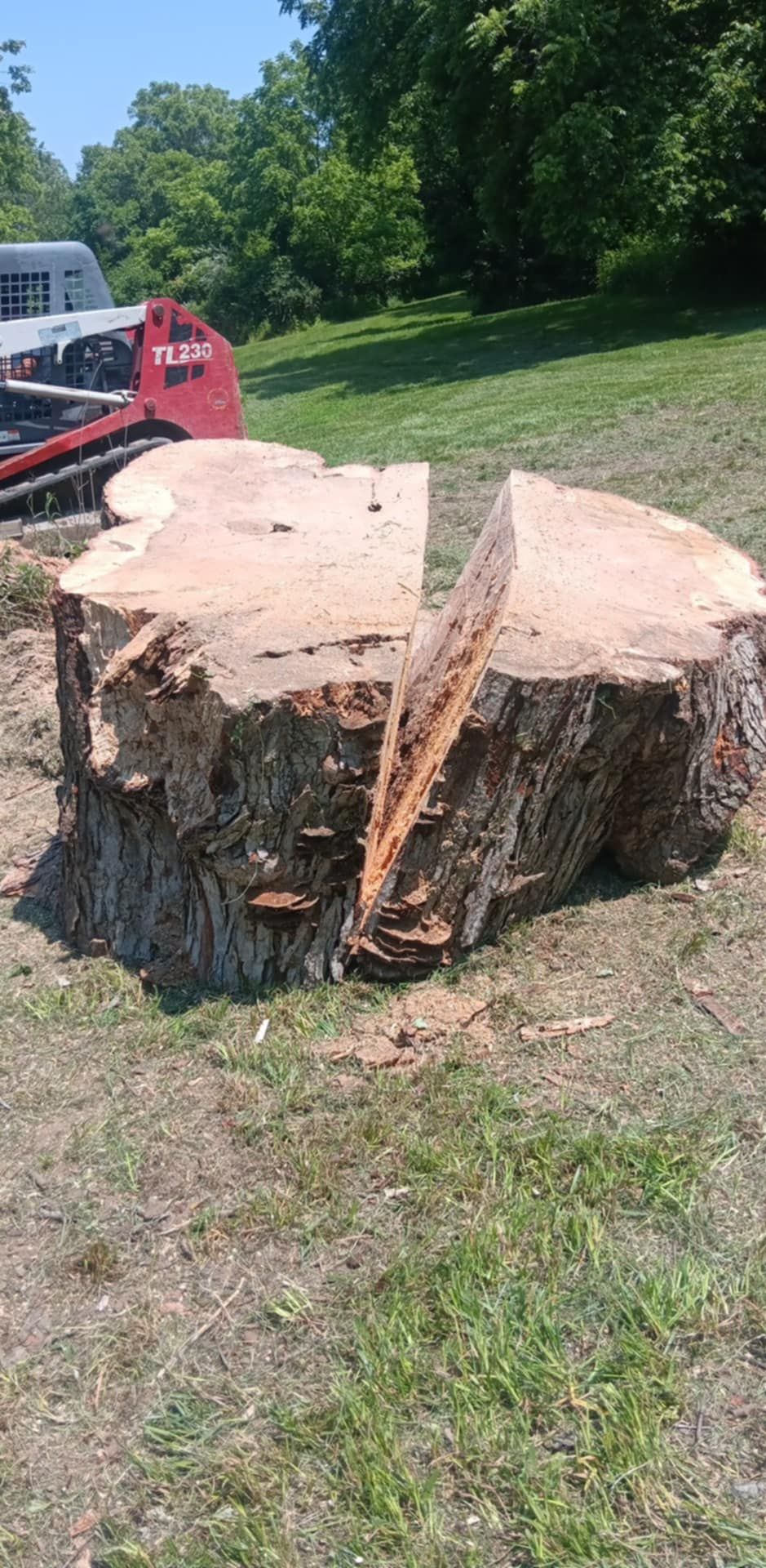  for Lawn Ranger Yard And Tree Service LLC in Ottumwa, IA