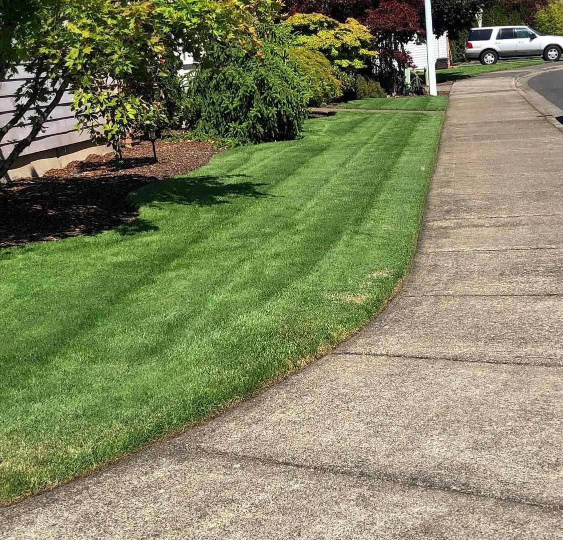 All Photos for Rs lawn Care llc in Beavertown, OR