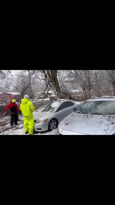 All Photos for Real Deal Lawn Care in Goodlettsville, TN