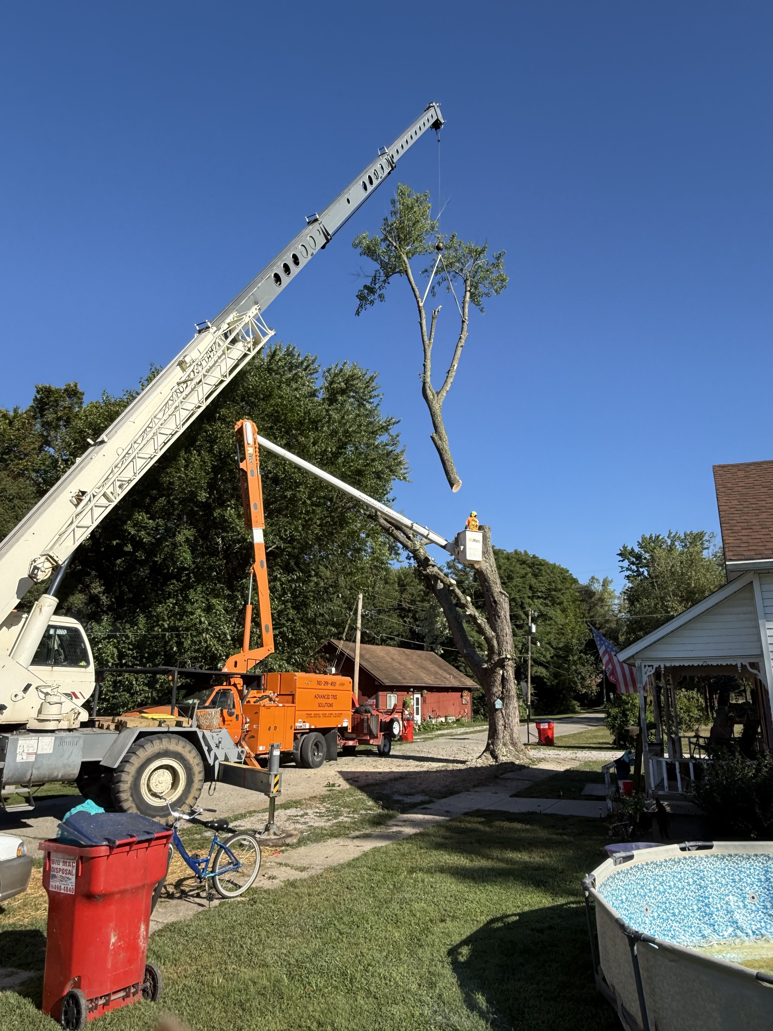  for Advanced Tree Solutions in Rockville, IN