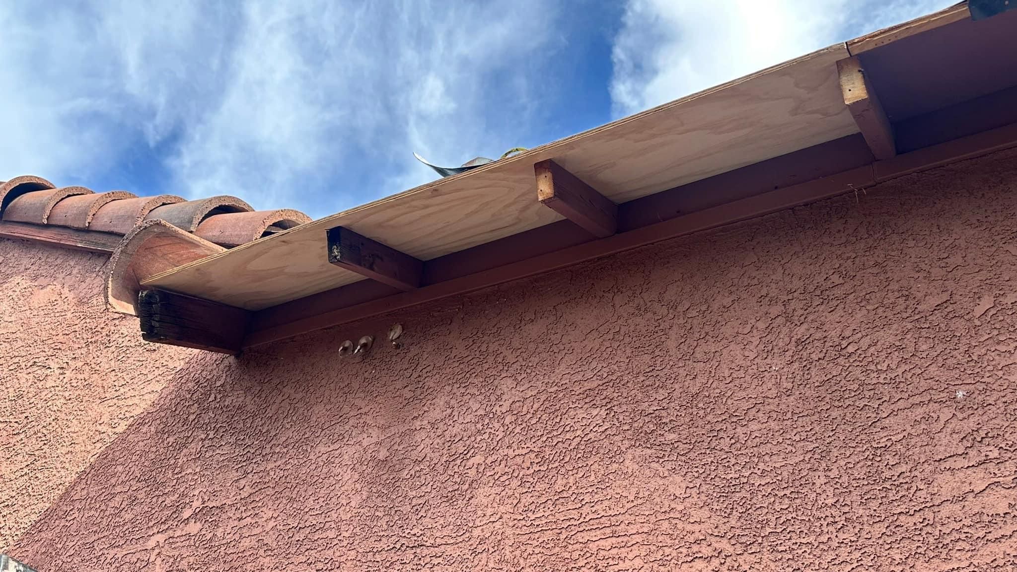 for Alpha Roofing LLC  in Tucson,  AZ