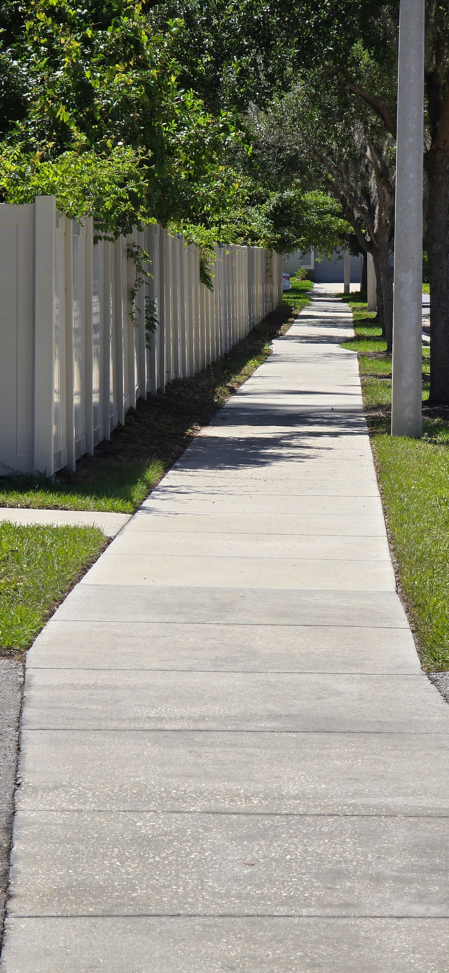  for Blue Stream Roof Cleaning & Pressure Washing in Tampa, FL