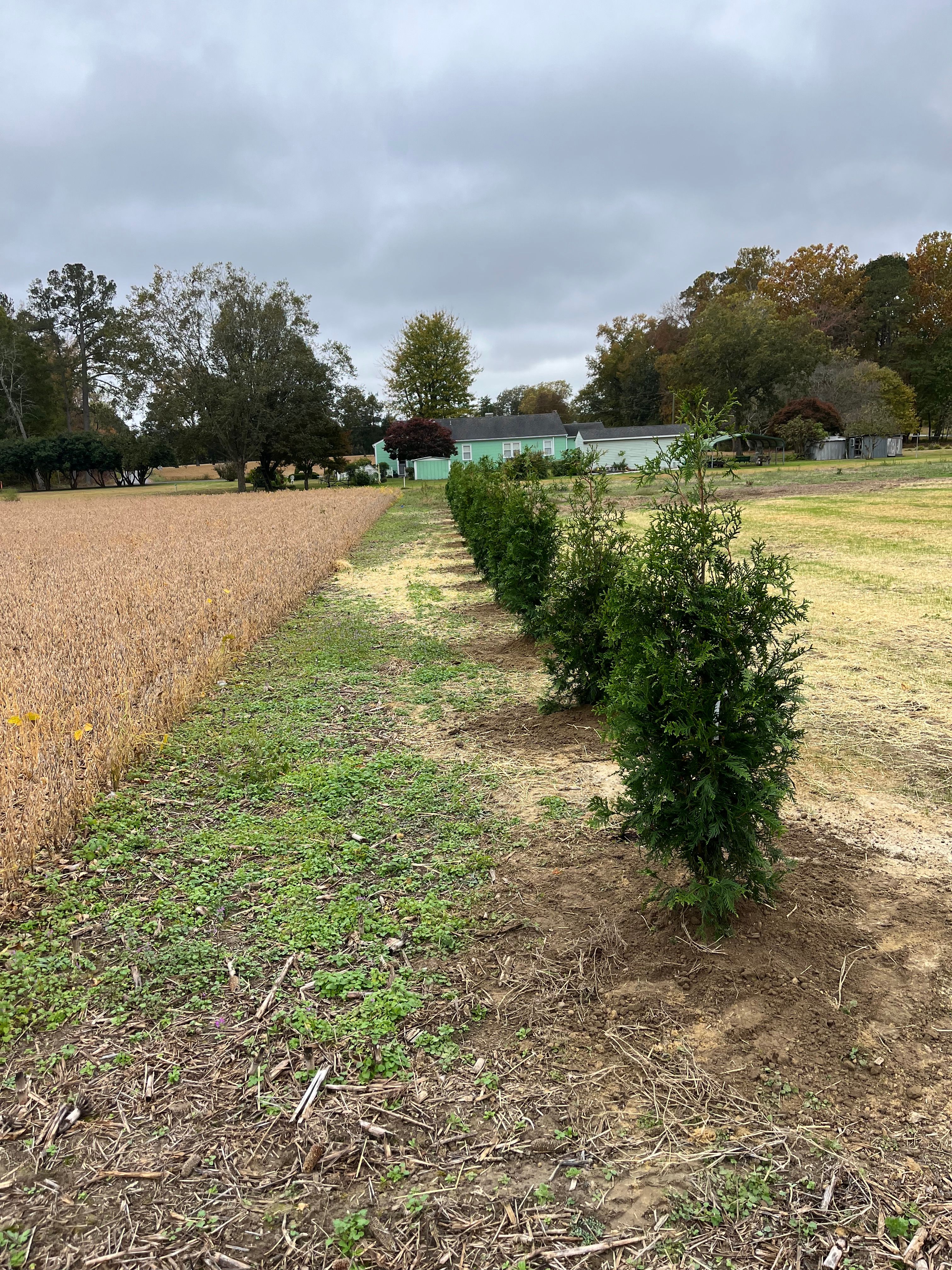  for Atlas Home Services in Mechanicsville, VA