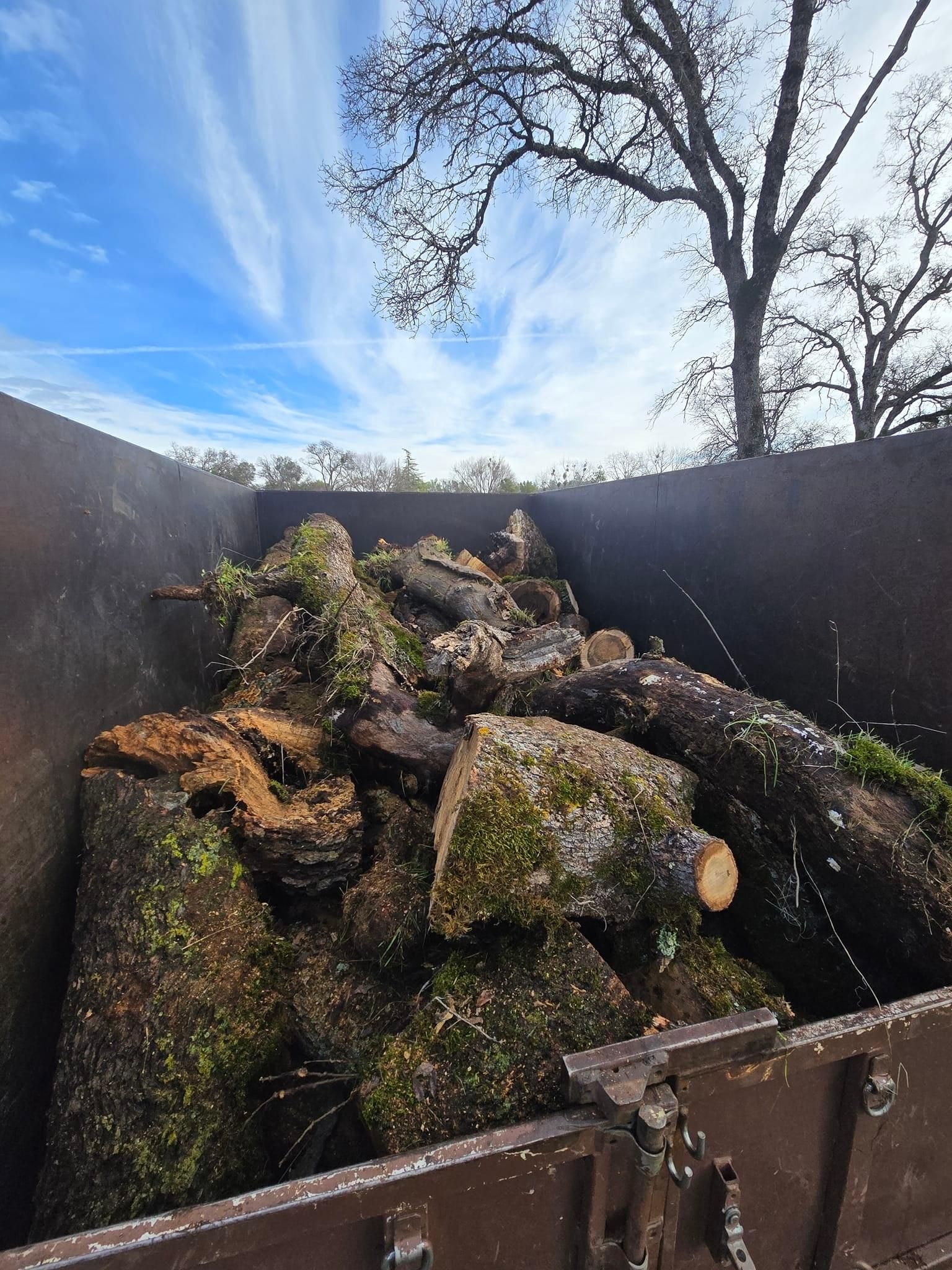  for Terra Heights Tree Experts & Landscaping  in Grass Valley,  CA