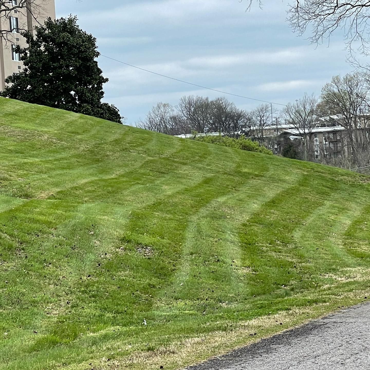  for The Right Price Right Choice Lawn Care Services in Murfreesboro, TN