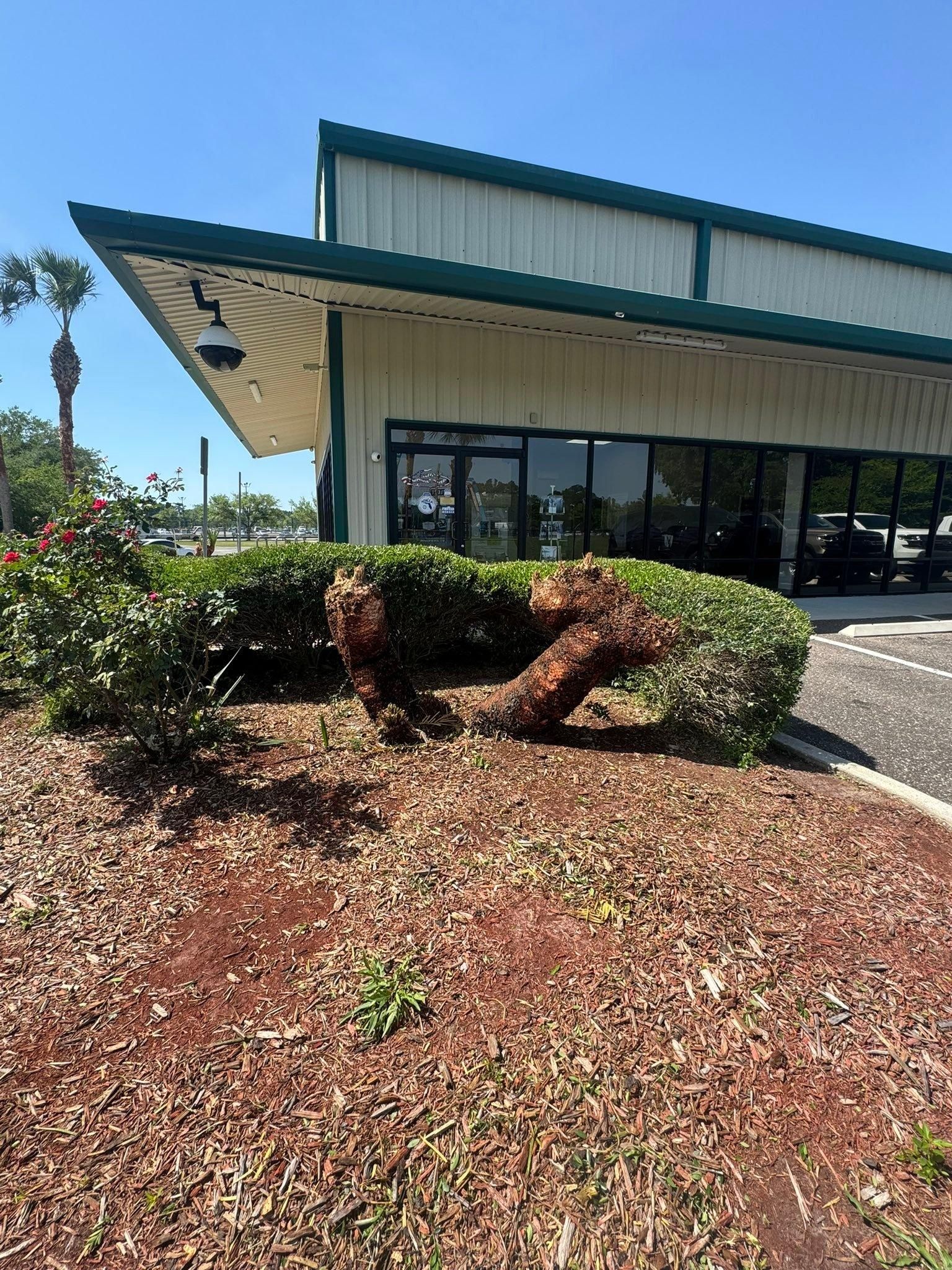 All Photos for Jacksonville Outdoors in Jacksonville, FL