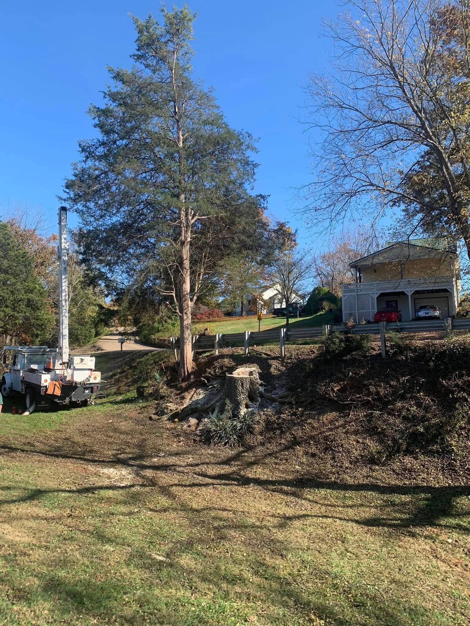 All Photos for Grainger Tree Service in Blaine, TN