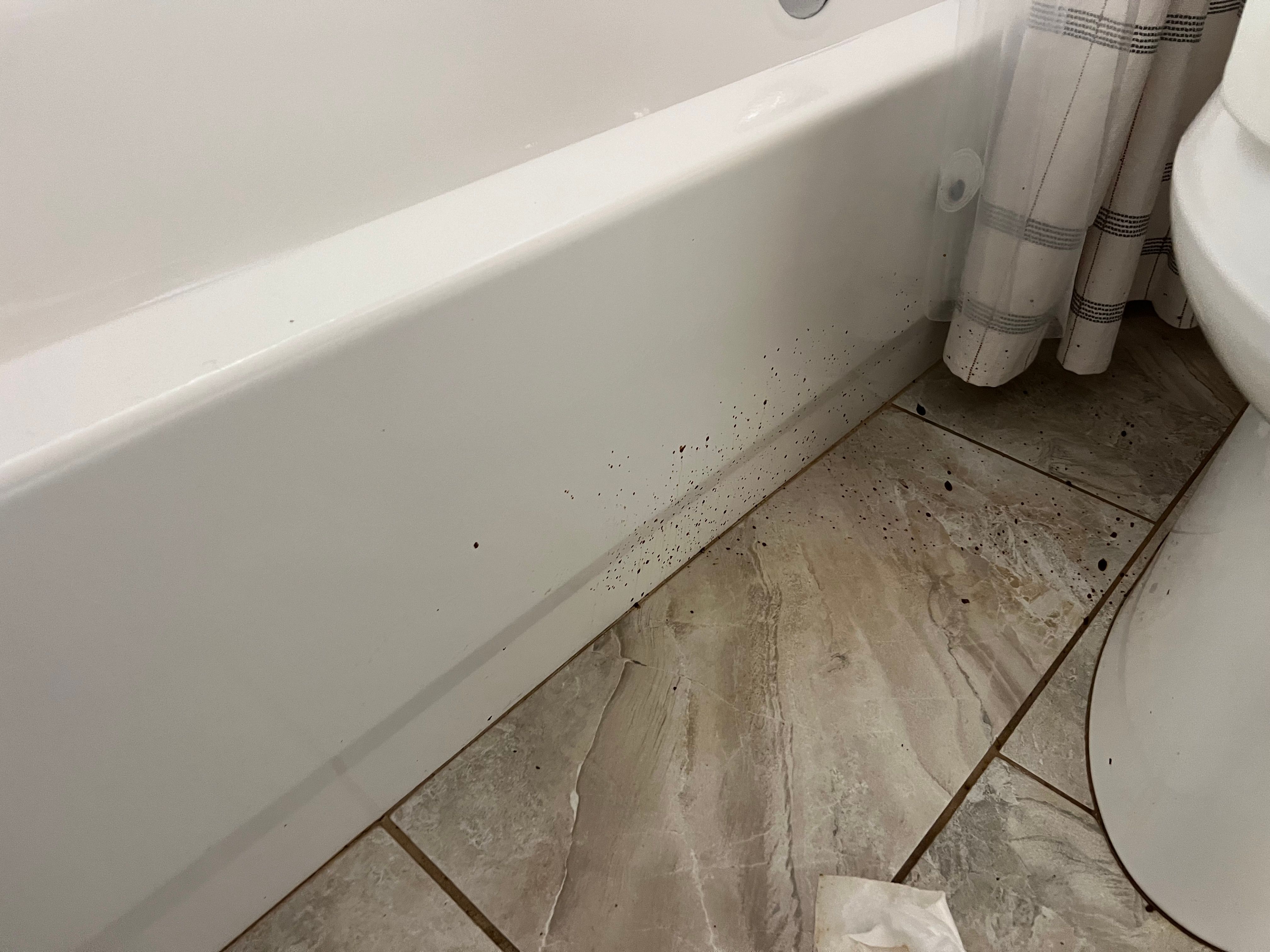  for N&D Restoration Services When Disaster Strikes, We Come In in Cape Coral,  FL