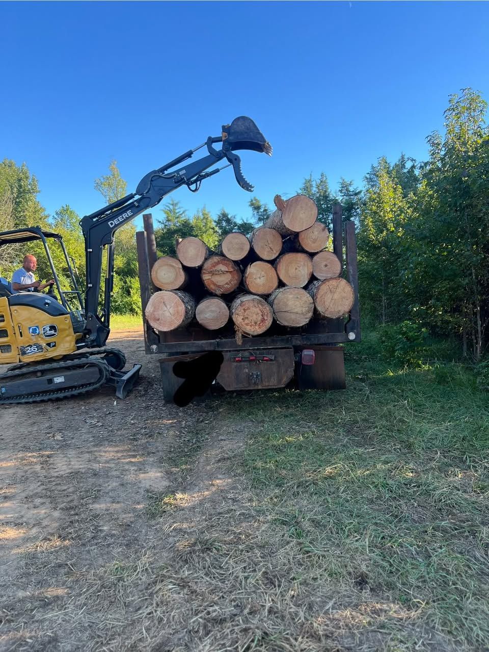  for 9 Oaks Tree Service and Excavation in Drakes Branch, VA