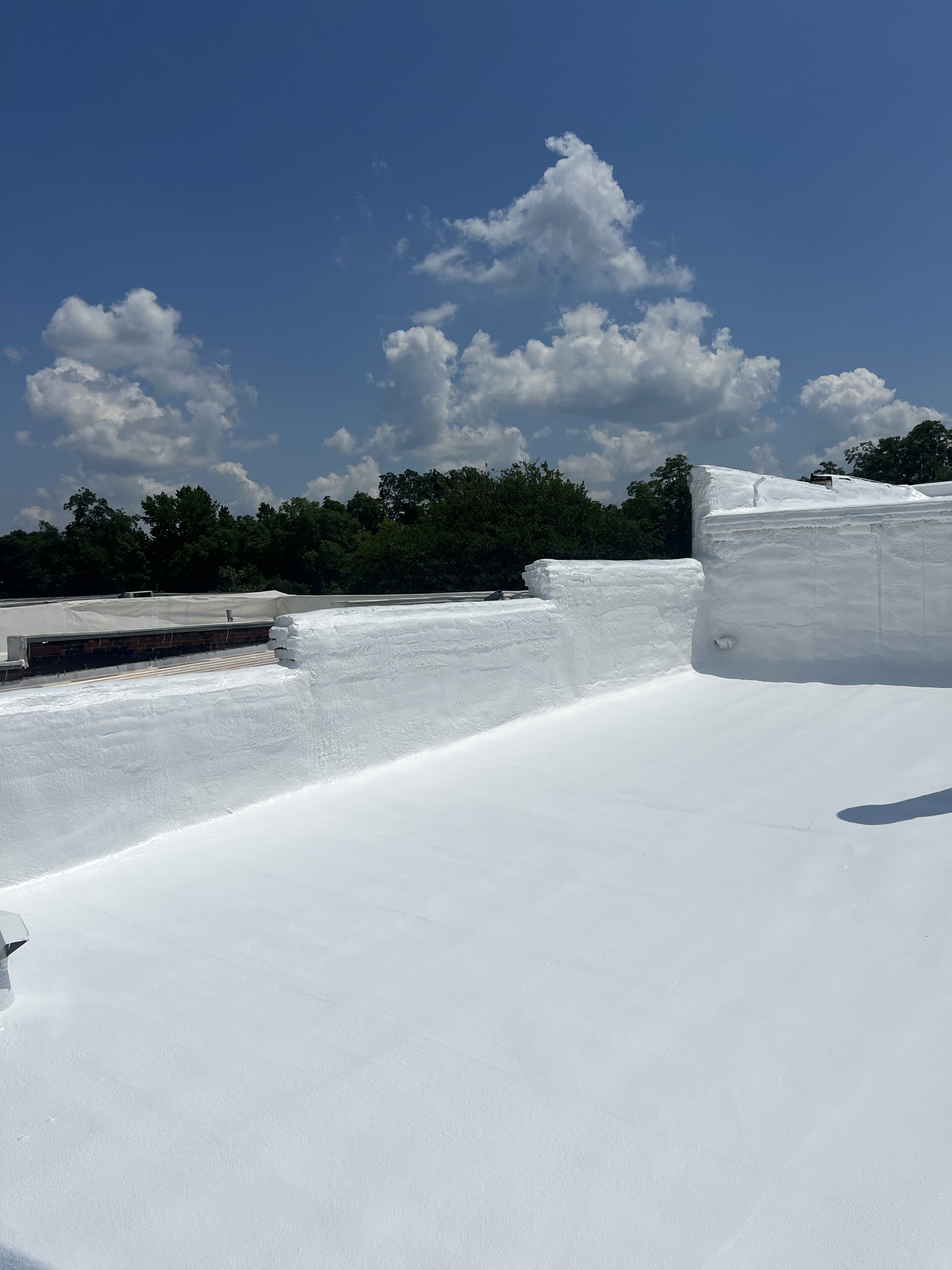  for Southern Integrity Roofing in Loganville, GA