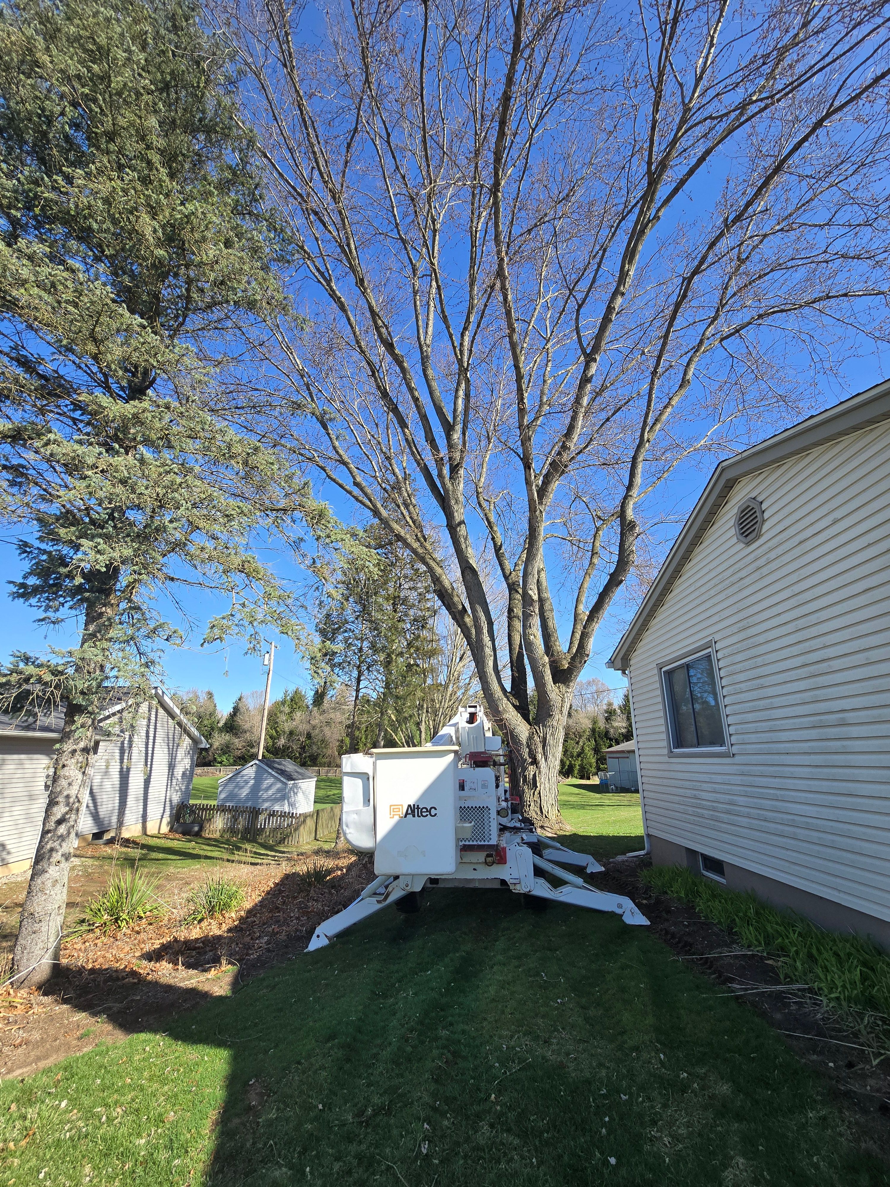  for D Hale Tree Service in Dexter, MI