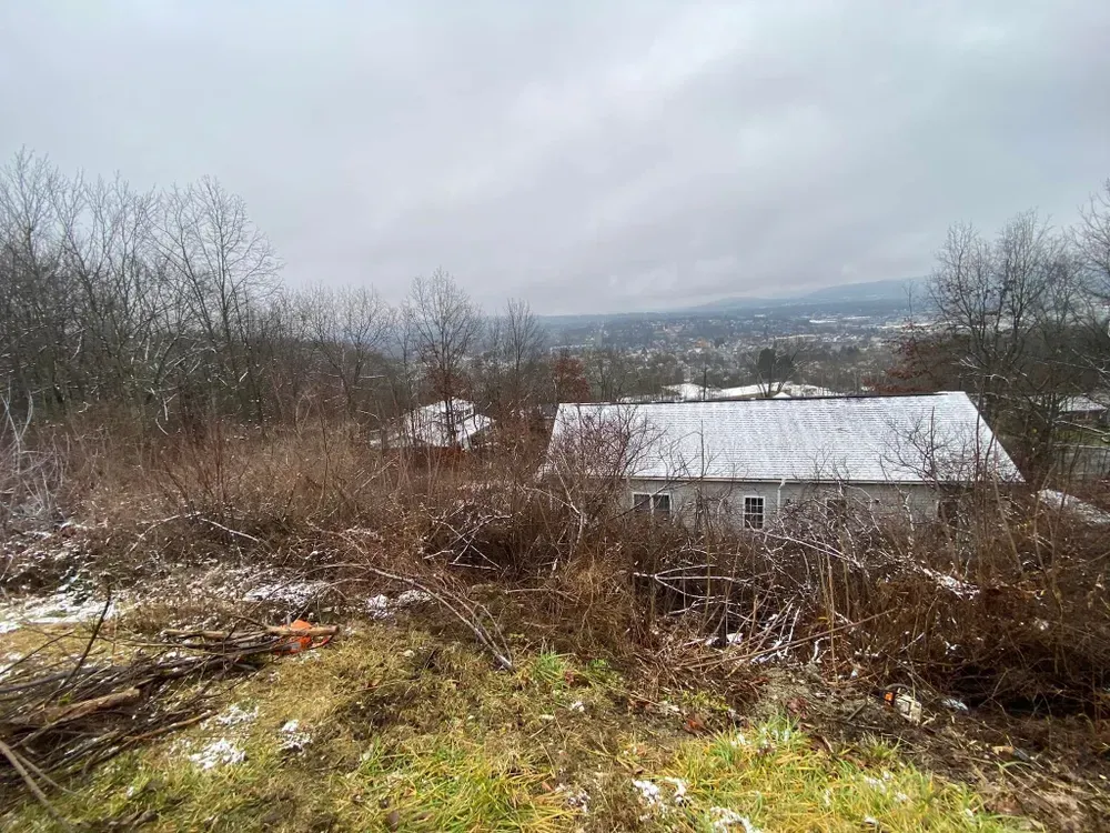 All Photos for Licensed to Cut Tree Service in Athens, PA