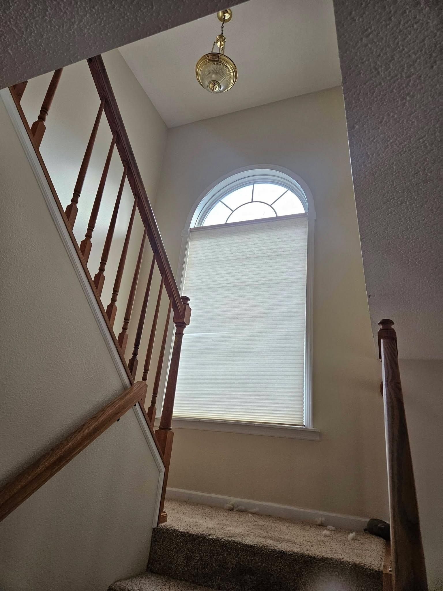  for Loving 217 Homes in Chatham, IL