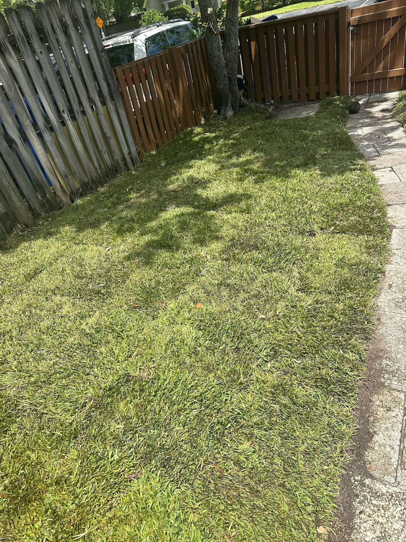 for Gulf Bay Sod in Clearwater, FL