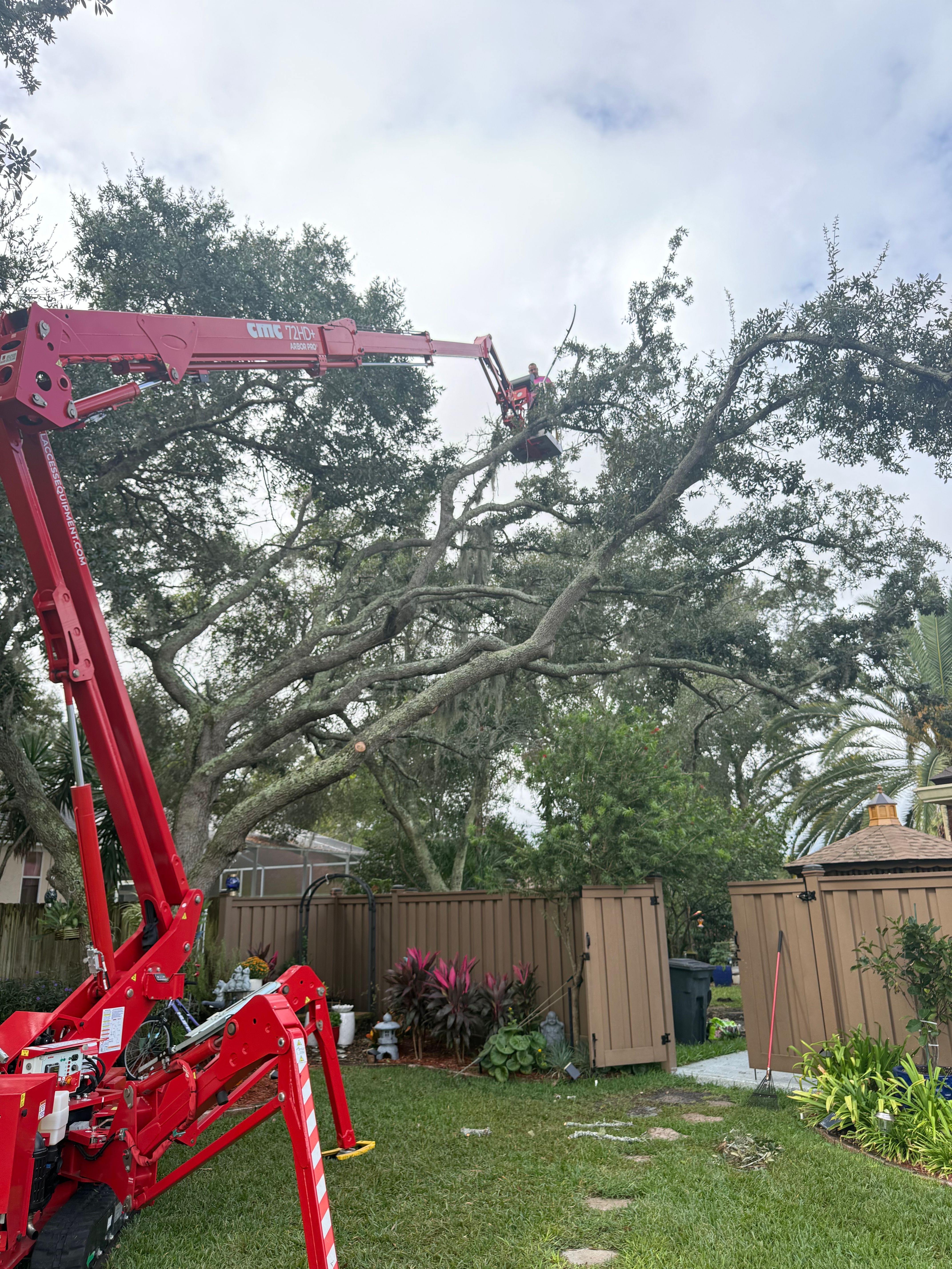  for Elite Tree & Landscape Services LLC in St. Augustine, FL