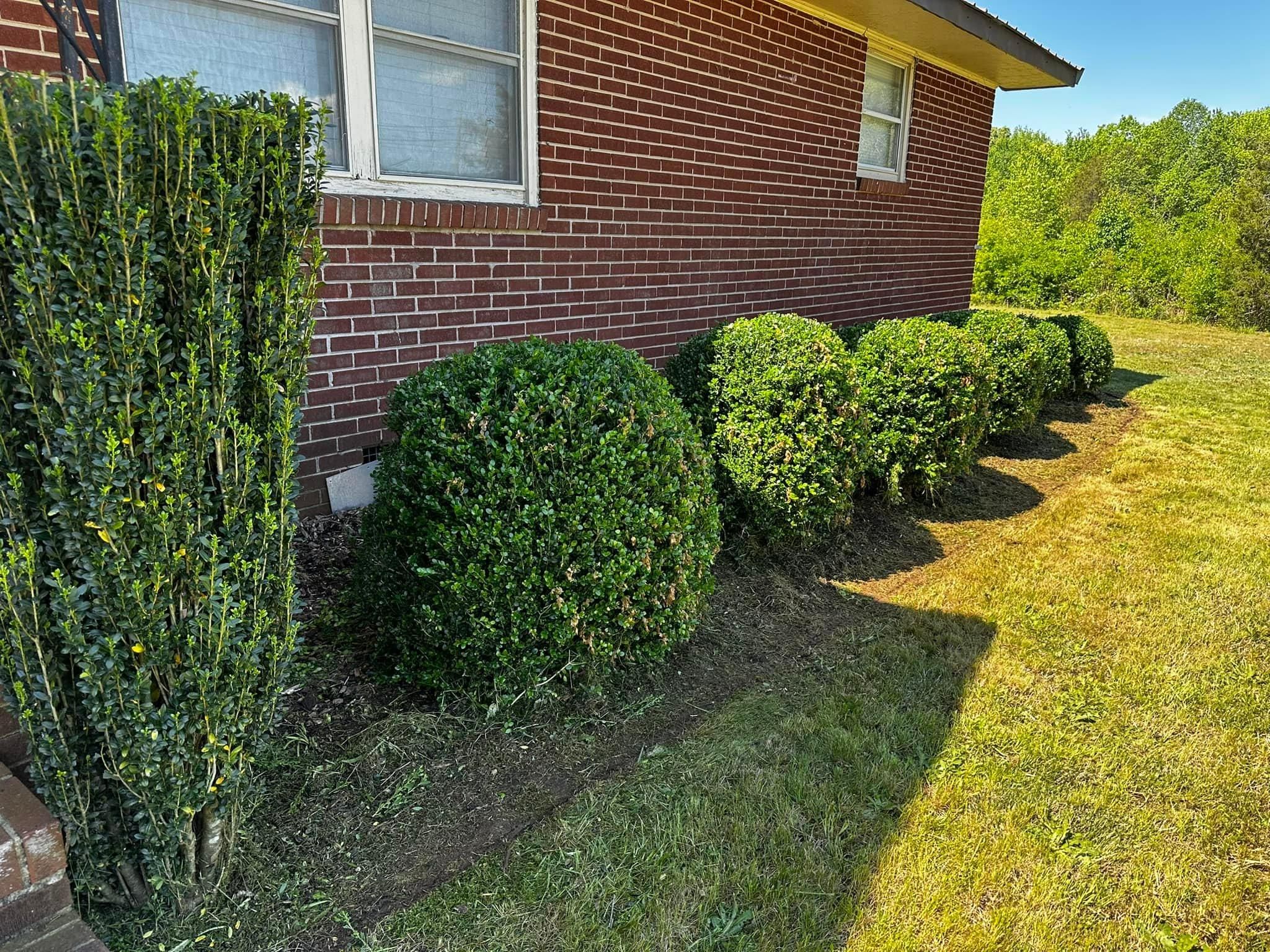  for Cisco Kid Landscaping Inc. in Lincolnton, NC