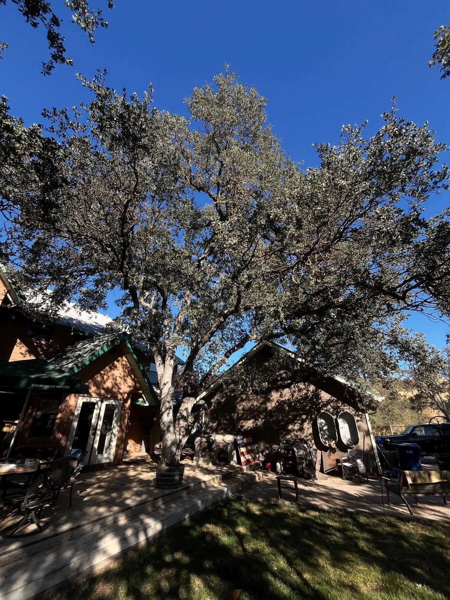  for A1 Junk & Tree Solutions, LLC in Paso Robles, CA