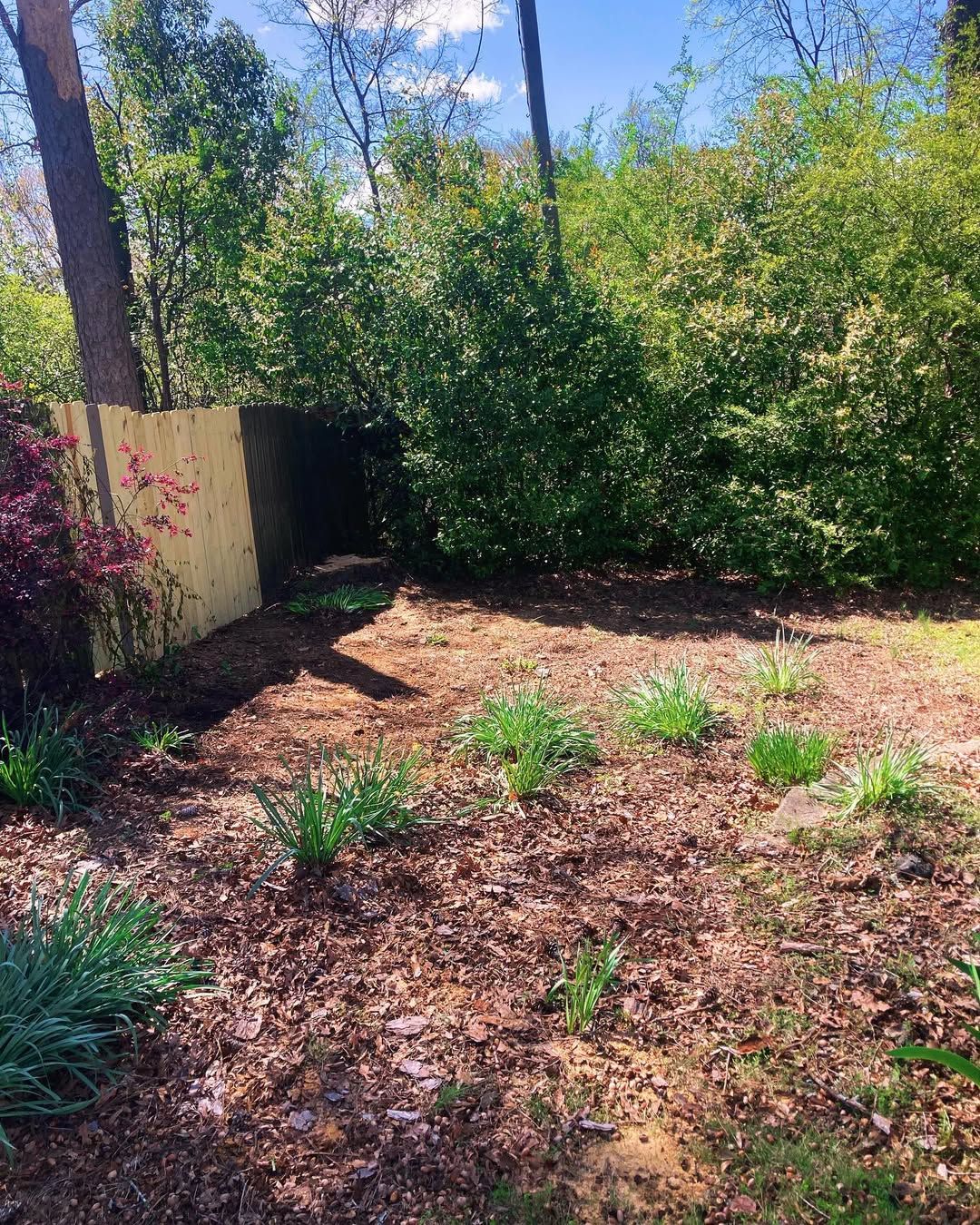  for Kingdom Tree Cuts in Birmingham, AL