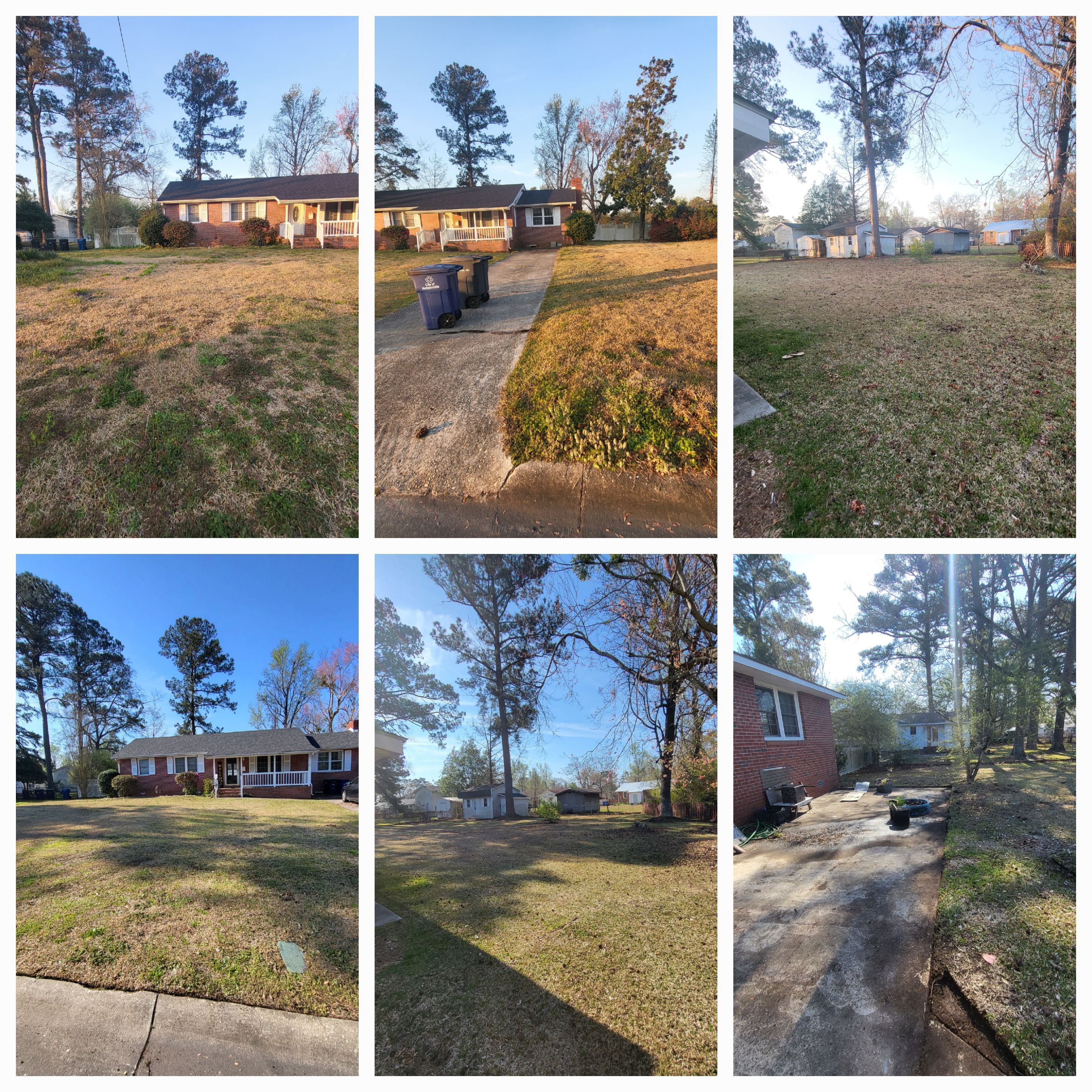 Fall and Spring Clean Up for Heroy's Lawn Services in Jacksonville, North Carolina