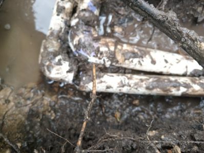  for Arreola Irrigation Repair in Bexar County, TX