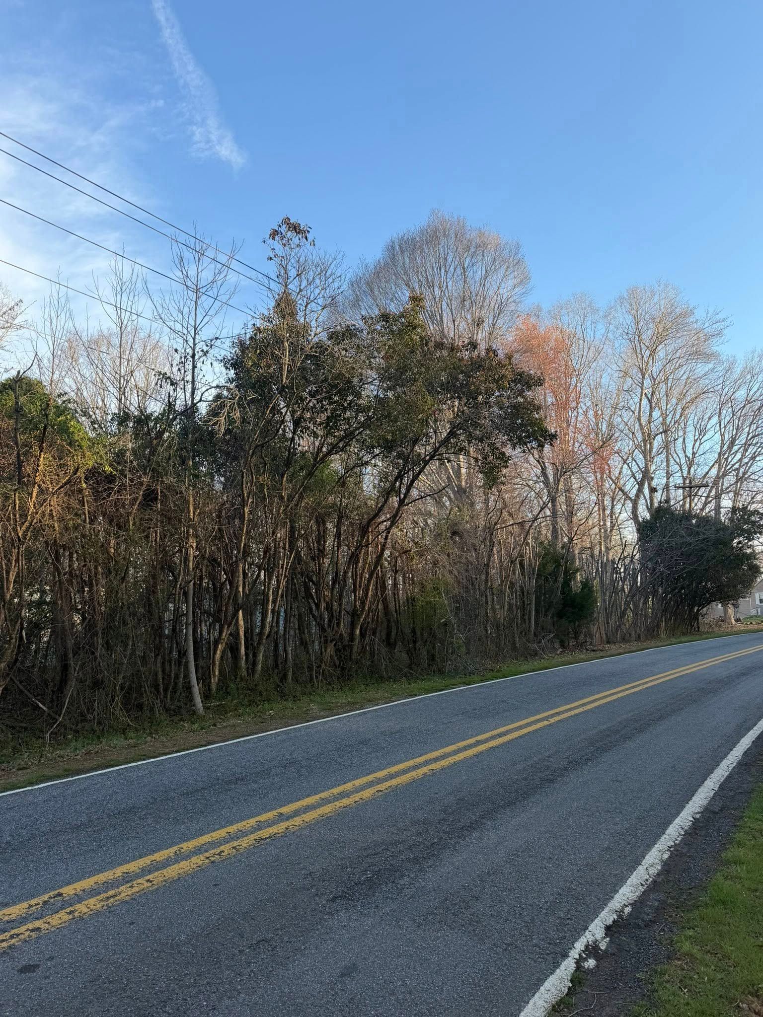  for Ramirez Tree Care in Elkin, NC